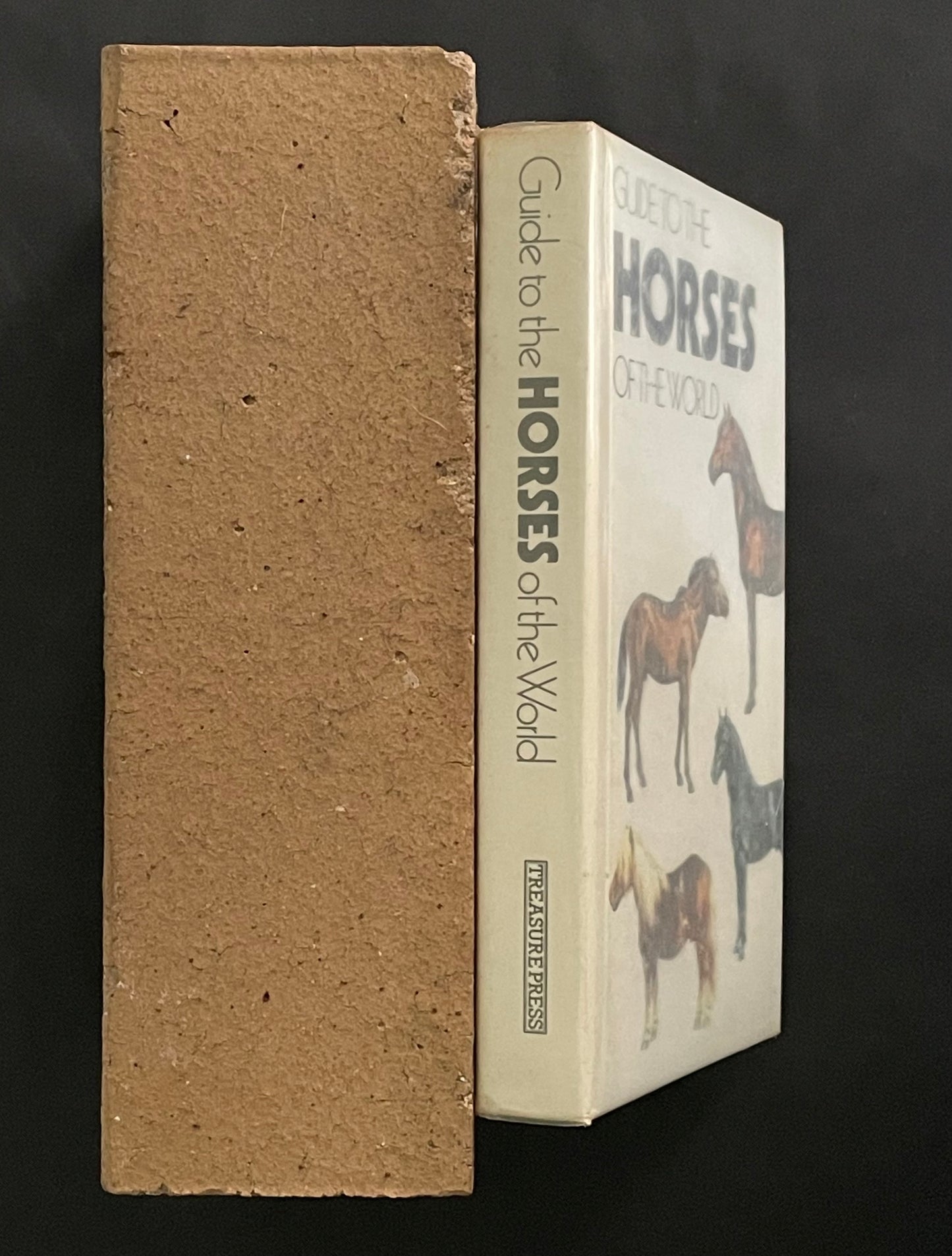 Guide to the Horses of the World by Caroline Silver et al.