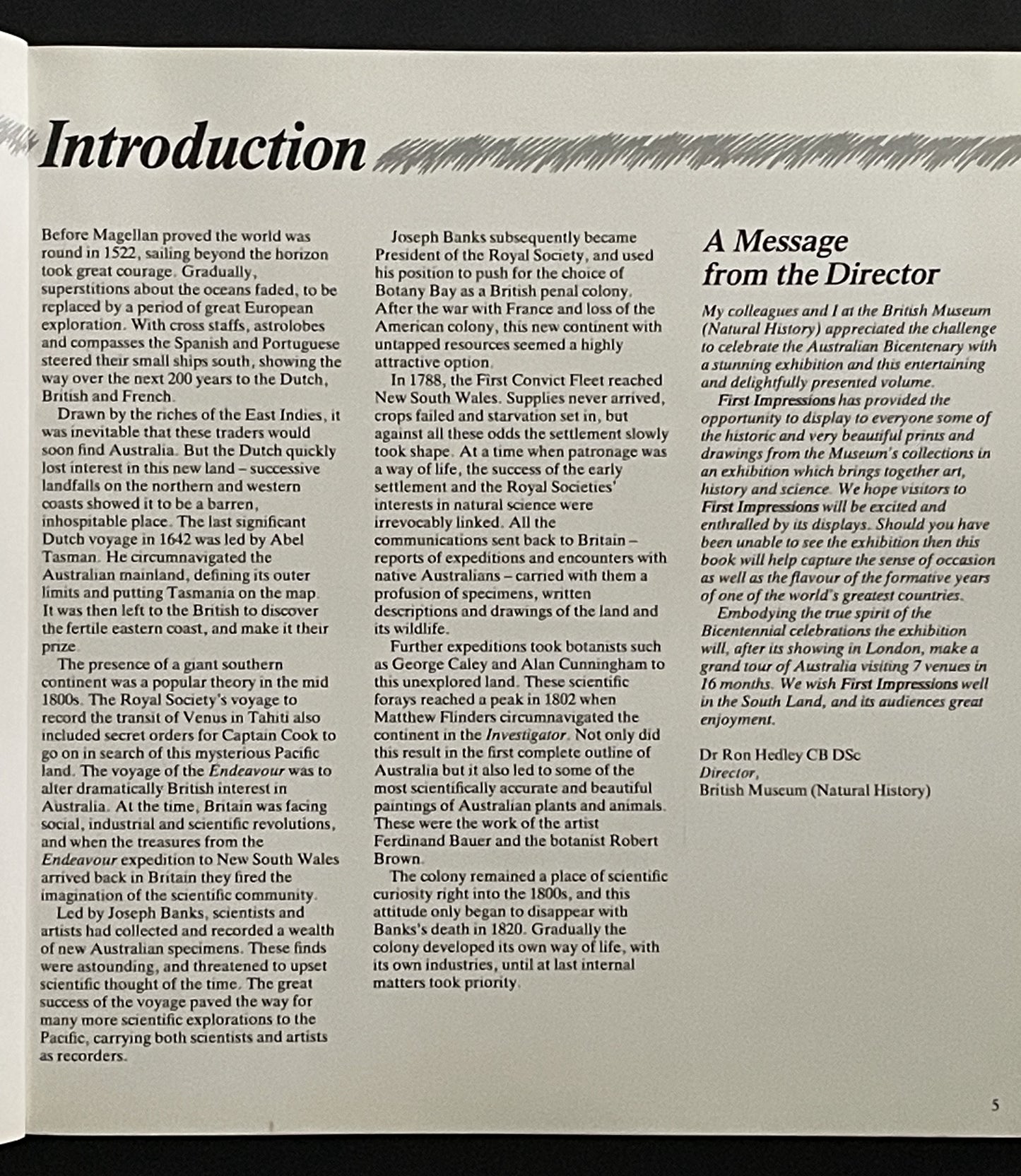 First Impressions by Margaret Steven