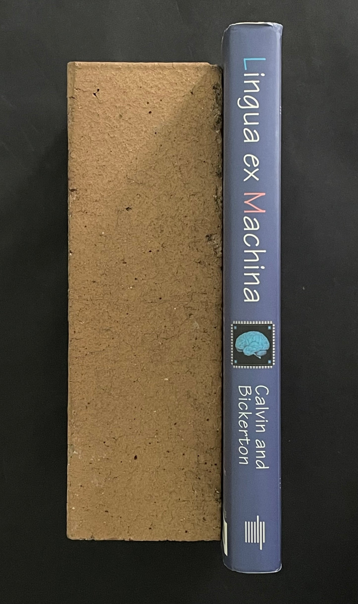 Lingua ex Machina by William H. Calvin and Derek Bickerton