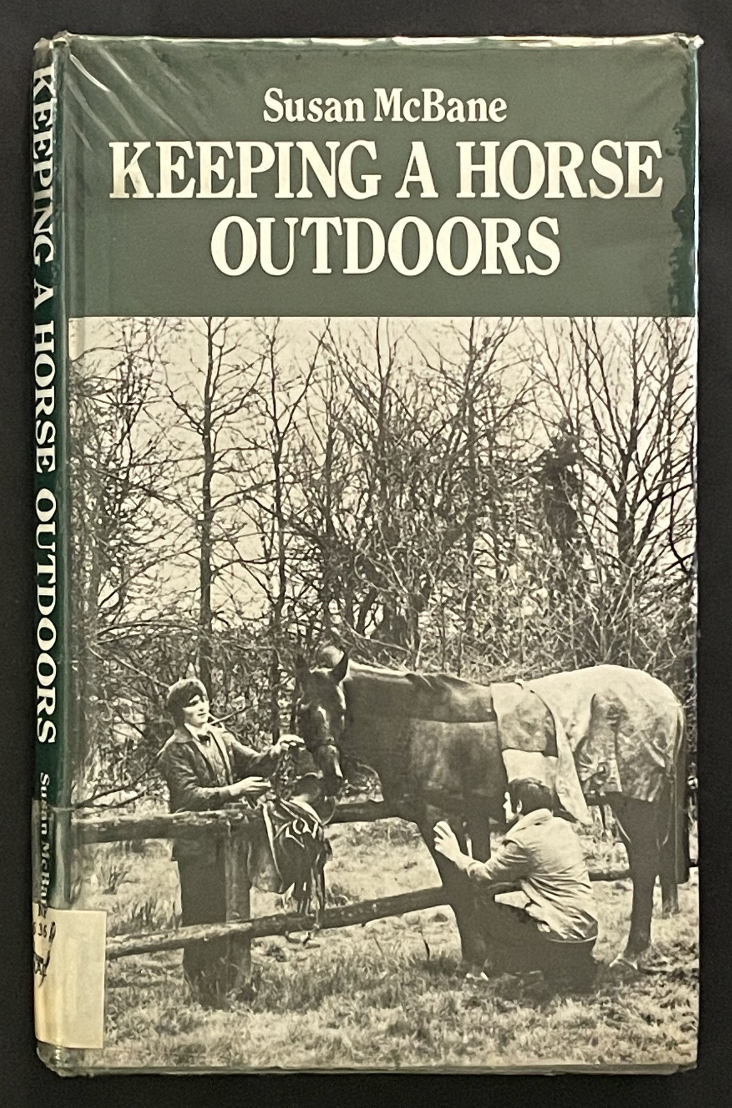 Keeping a Horse Outdoors by Susan McBane