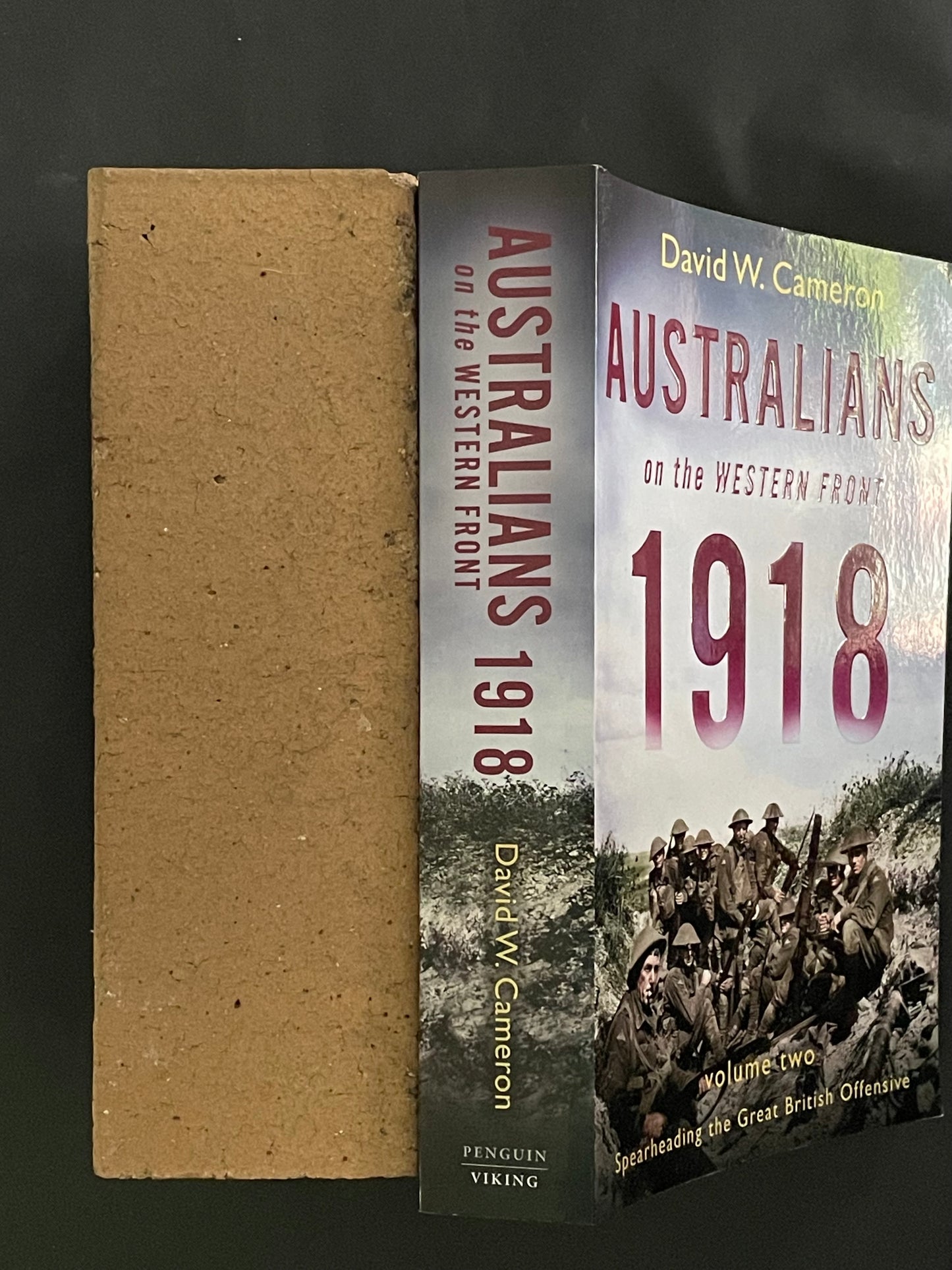 Australians on the Western Front 1918 Volume II by David W. Cameron