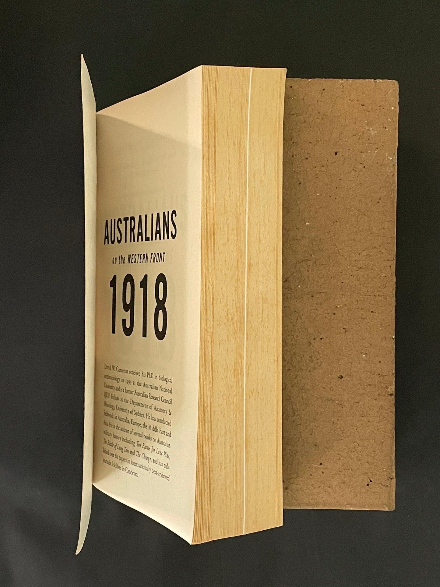 Australians on the Western Front 1918 Volume II by David W. Cameron