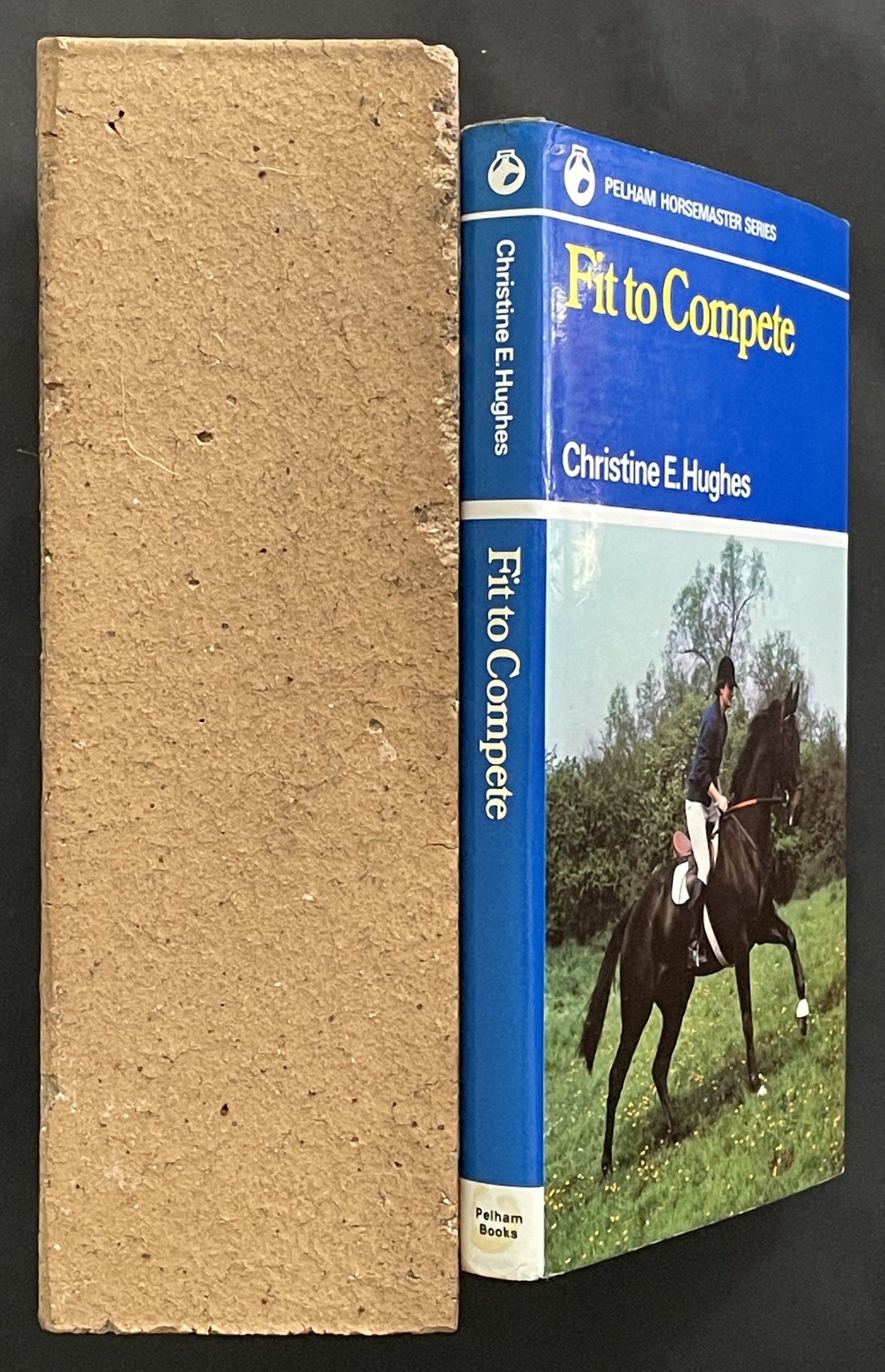 Fit to Compete by Christine E. Hughes, Christine Stafford