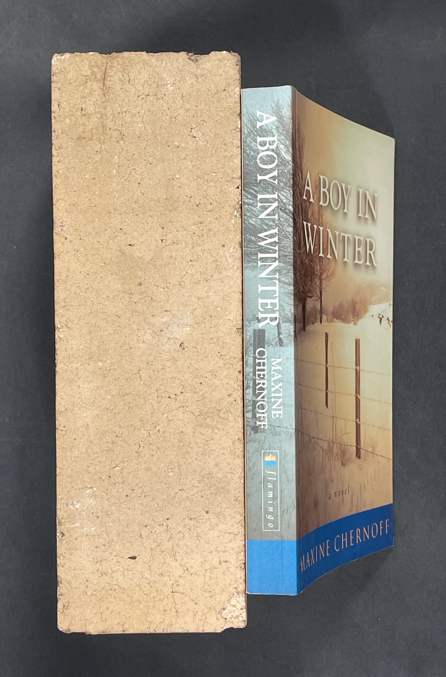 A Boy in Winter by Maxine Chernoff