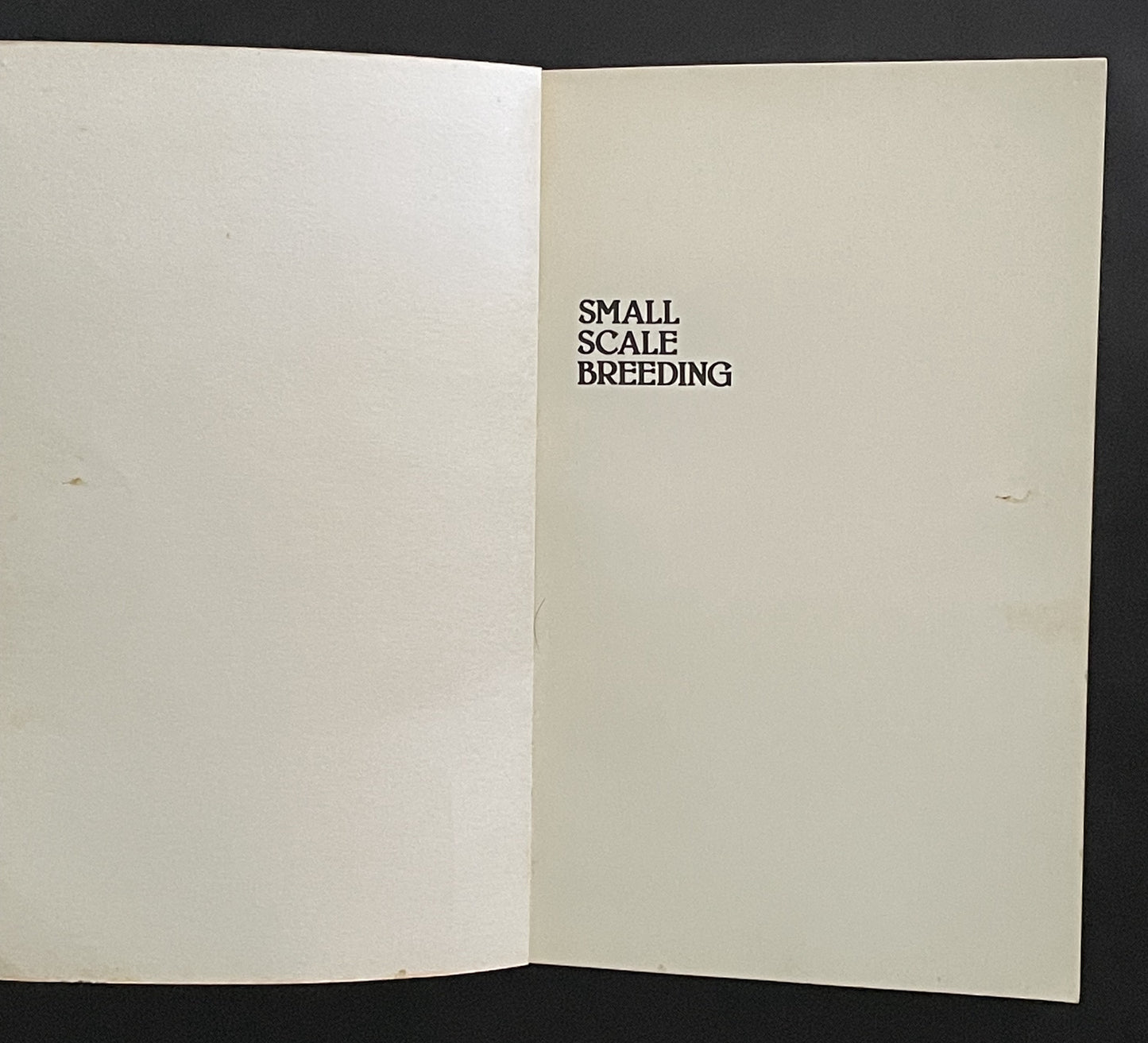 Small Scale Breeding by Ray Saunders