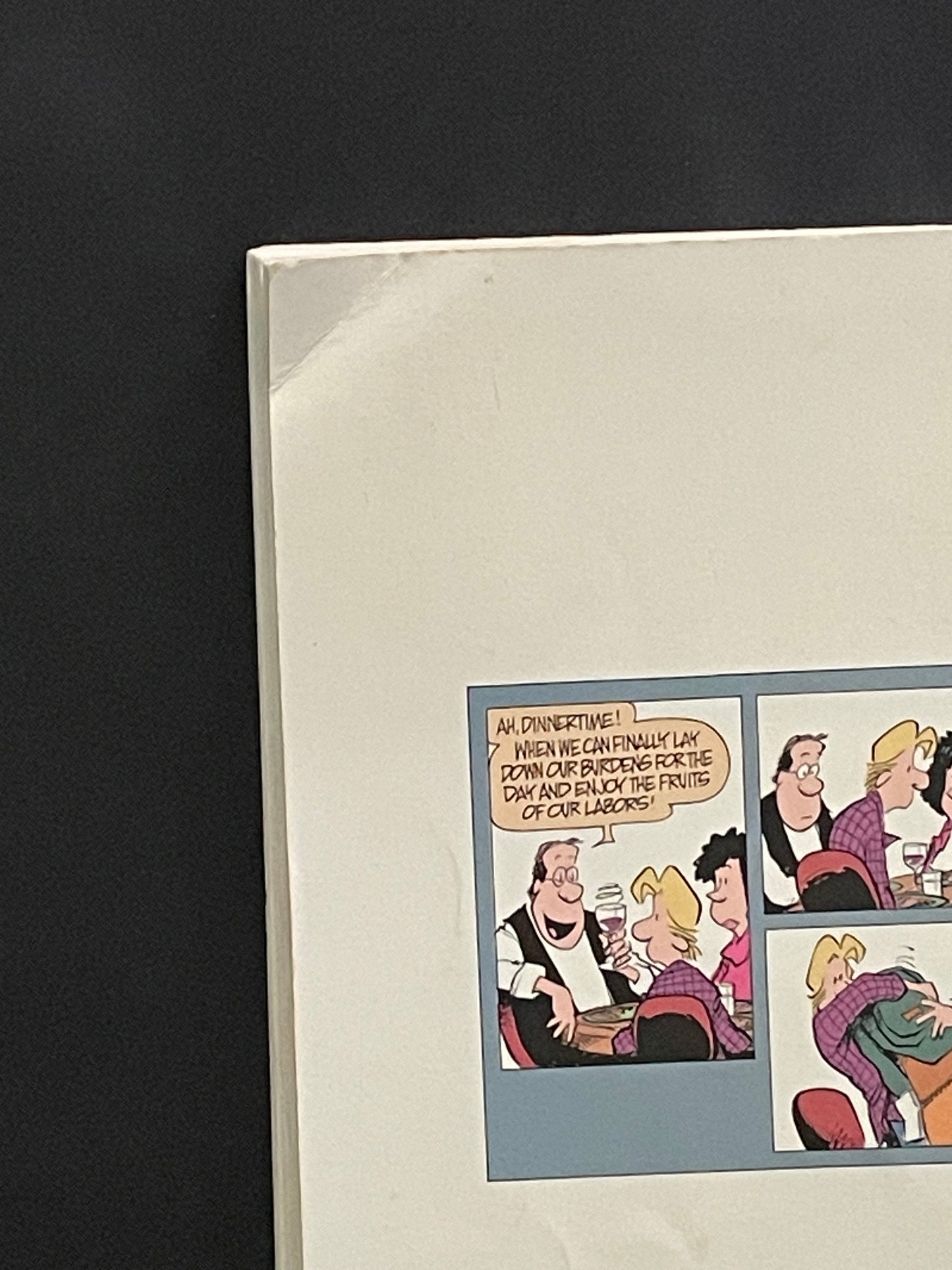 Zits Unzipped by Jerry Scott, Jim Borgman
