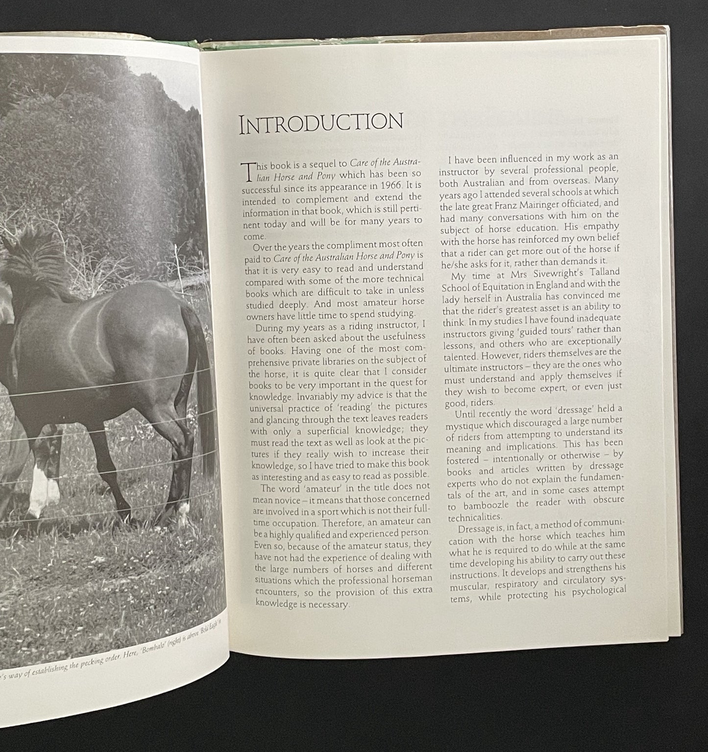 The Amateur Horseman by Margaret I. Clarke