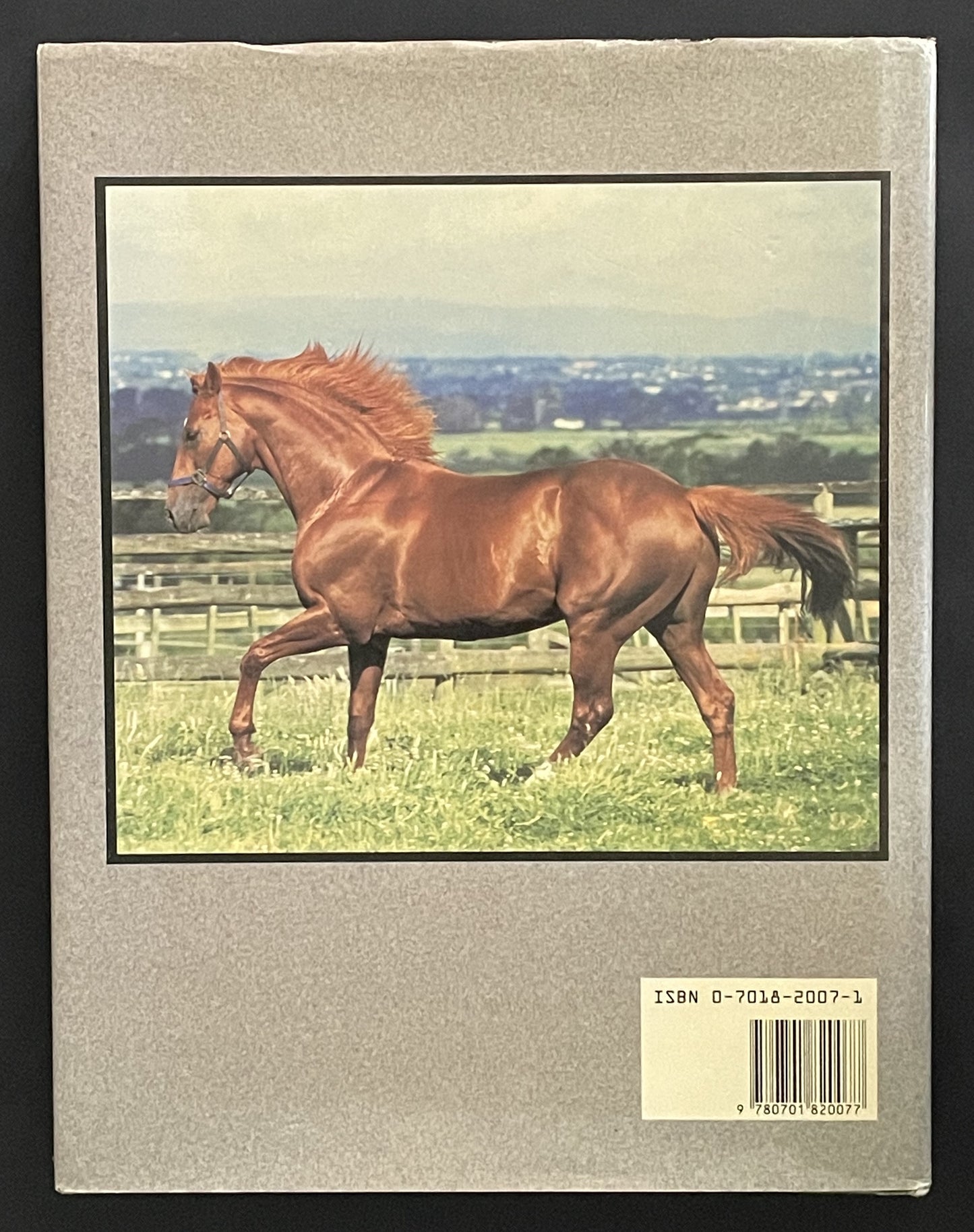 The Amateur Horseman by Margaret I. Clarke