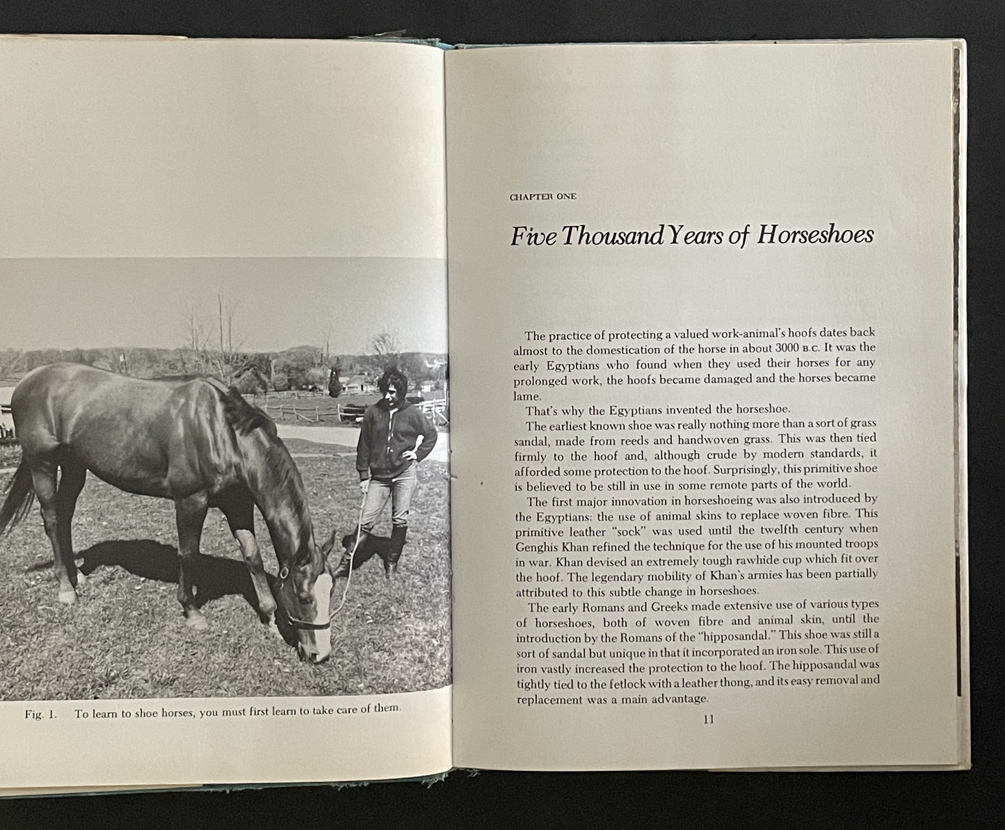 Shoe Your Own Horse by Andrew Gertz, Bob Sanchez