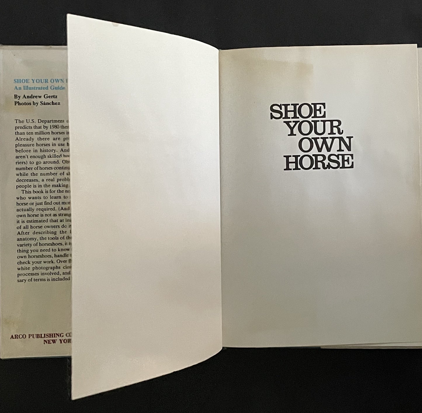 Shoe Your Own Horse by Andrew Gertz, Bob Sanchez