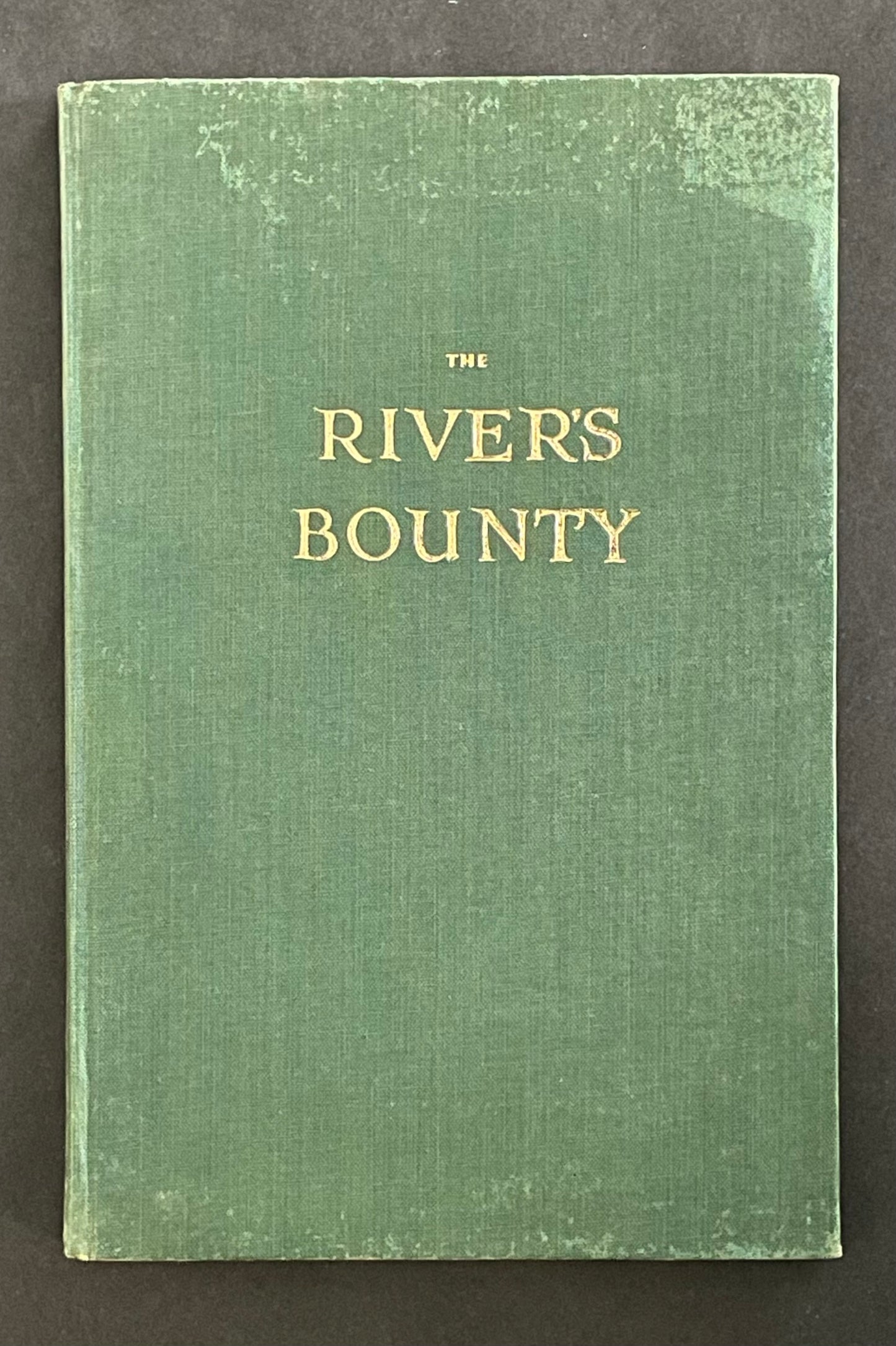 The River's Bounty by Not applicable