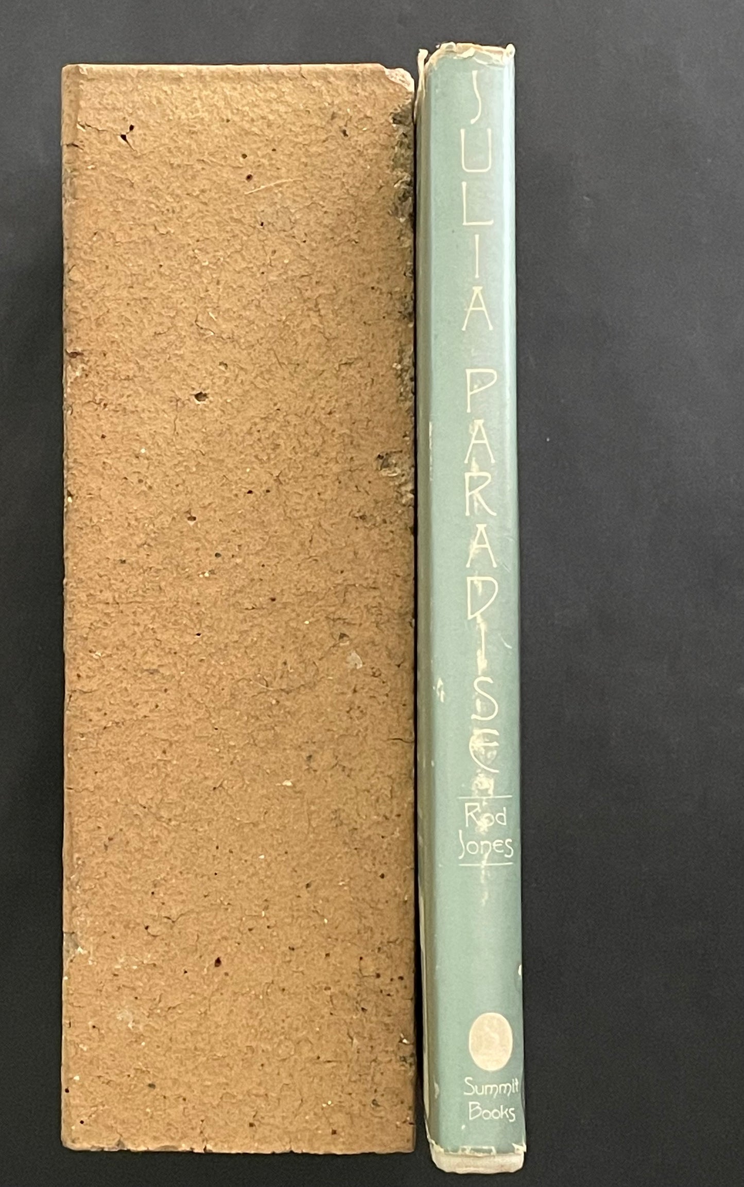 Julia Paradise by Rod Jones 1st Edition