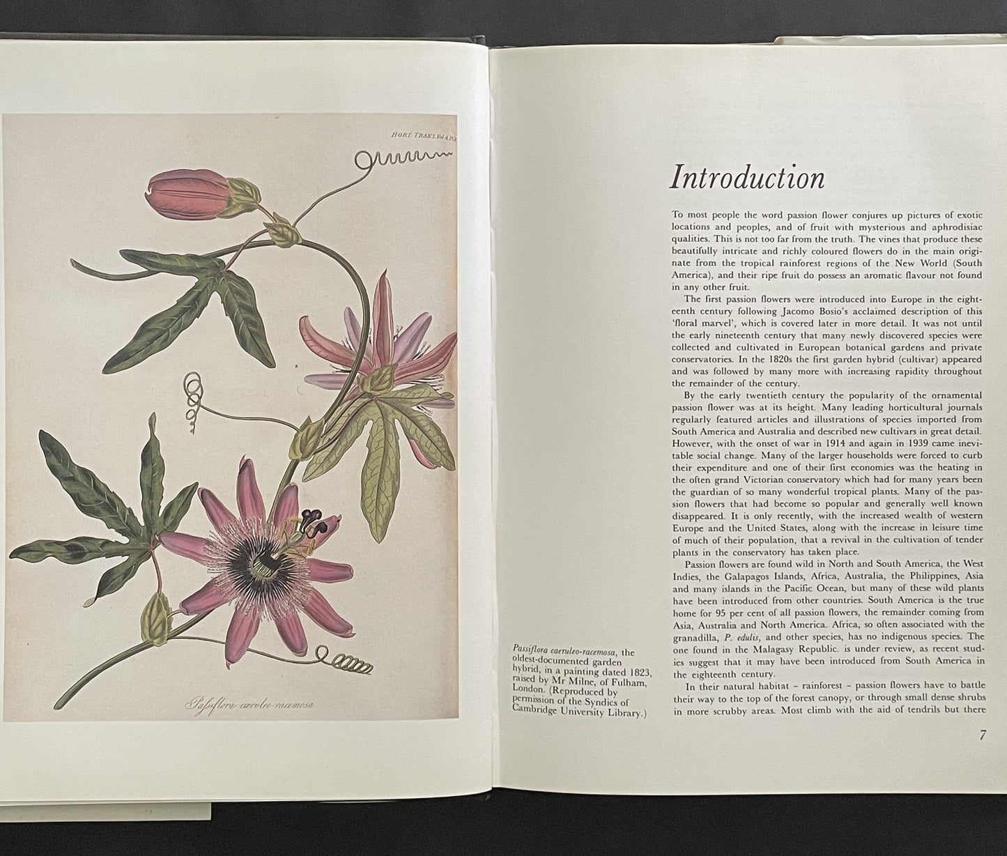Passion Flowers and Passion Fruit by John Vanderplank