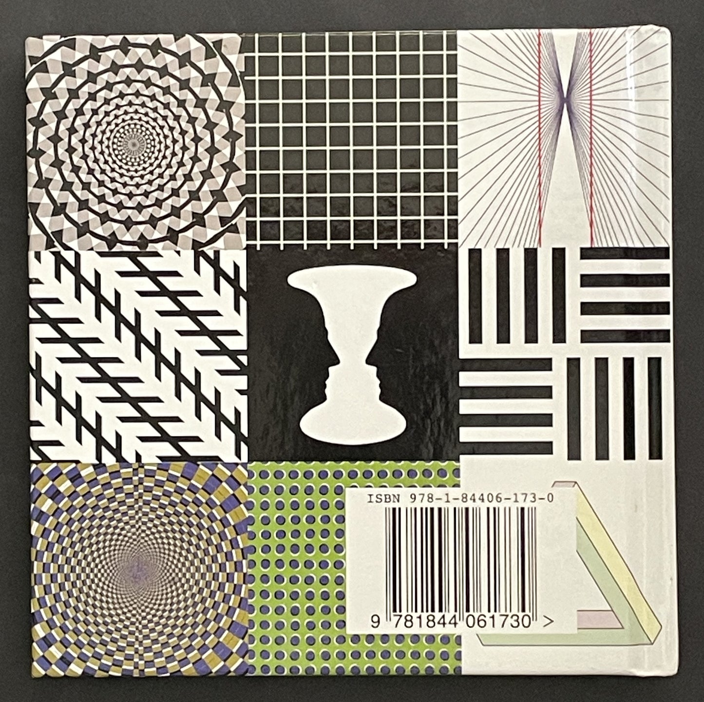 Visual Illusions by James Kingston