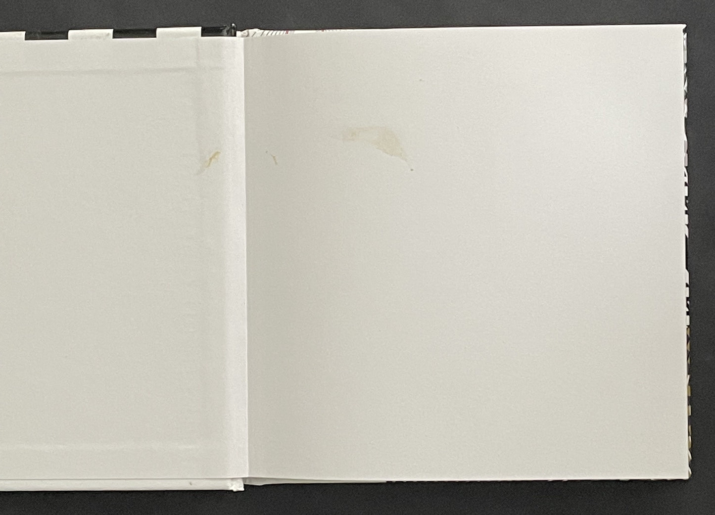 Visual Illusions by James Kingston