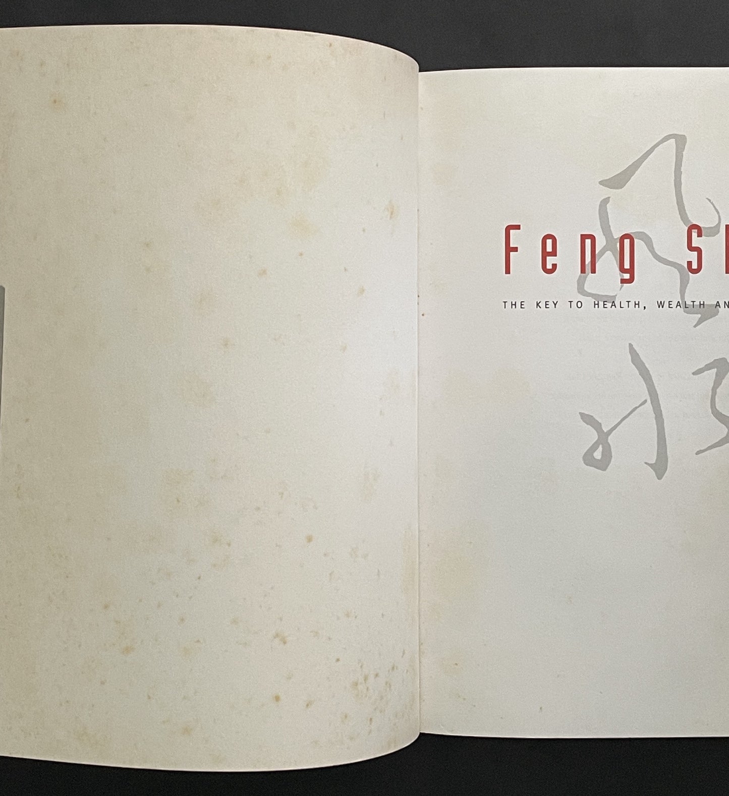 Feng Shui by Howard Choy, Belinda Henwood