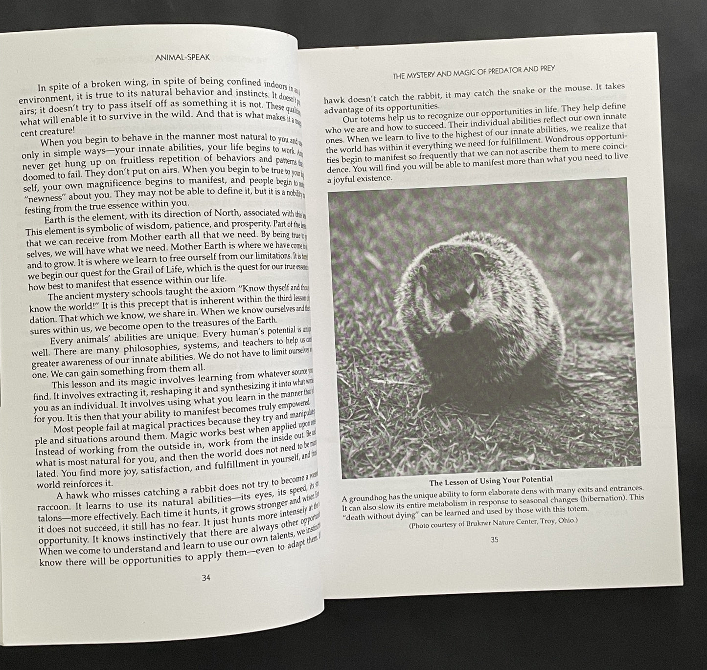 Animal-speak by Ted Andrews