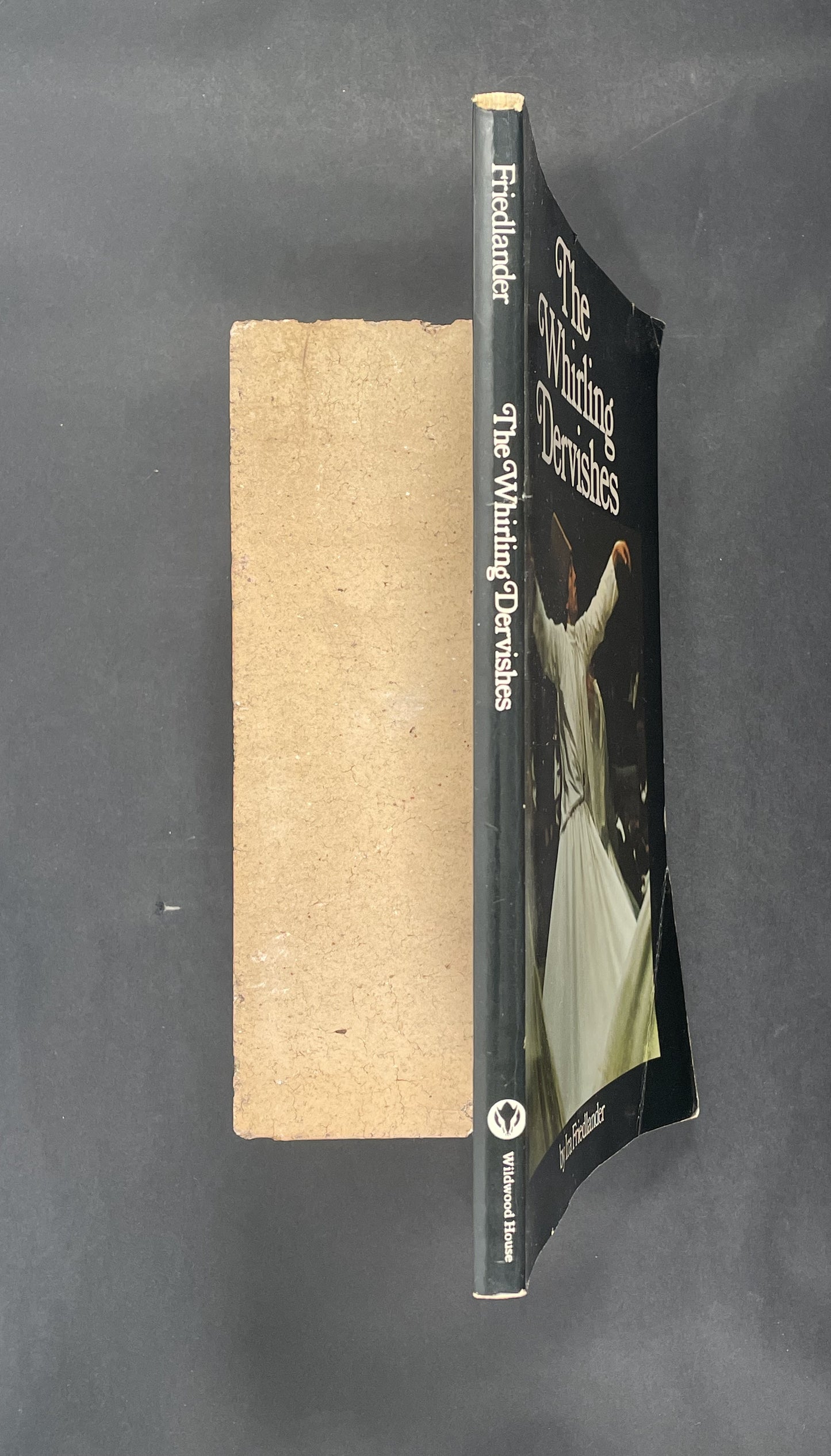 The Whirling Dervishes by Ira Friedlander