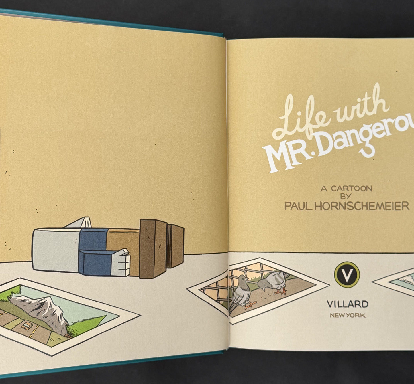 Life with Mr. Dangerous by Paul Hornschemeier