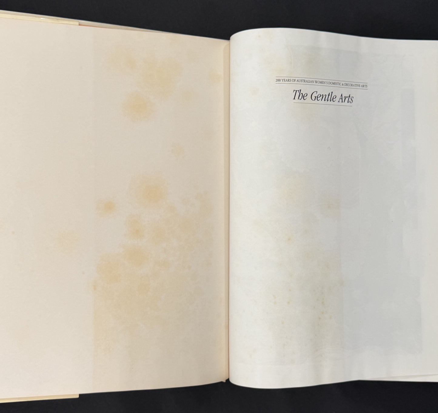 The Gentle Arts by Jennifer Isaacs