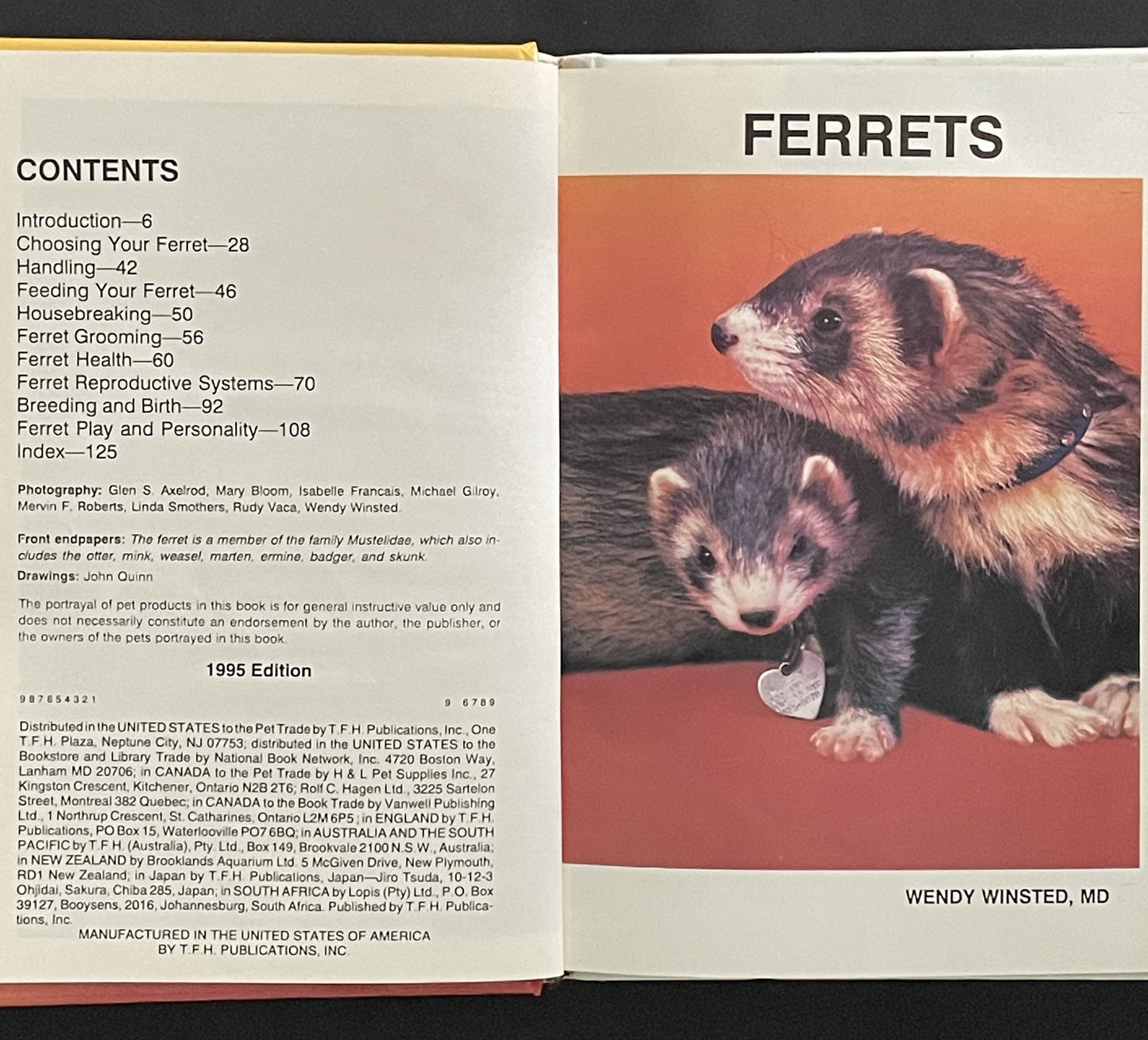 Ferrets by Wendy Winsted