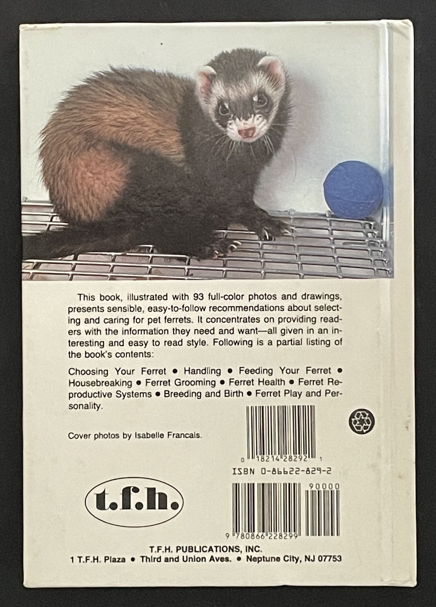 Ferrets by Wendy Winsted