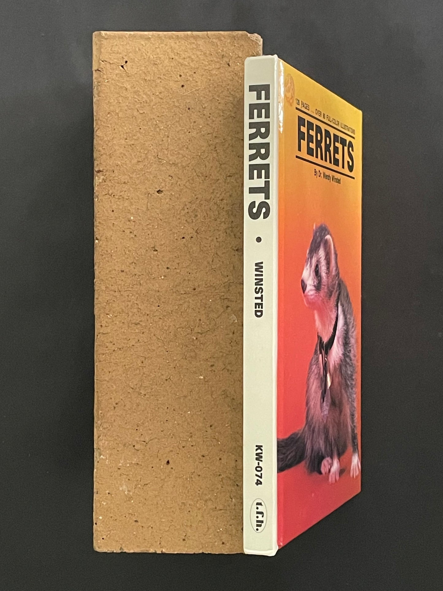 Ferrets by Wendy Winsted