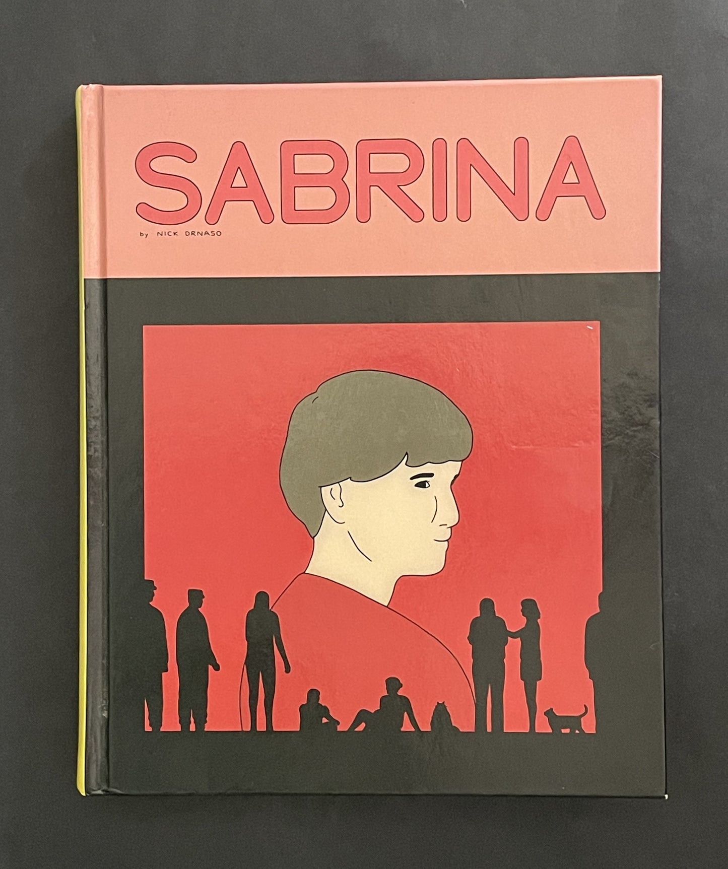 Sabrina by Nick Drnaso