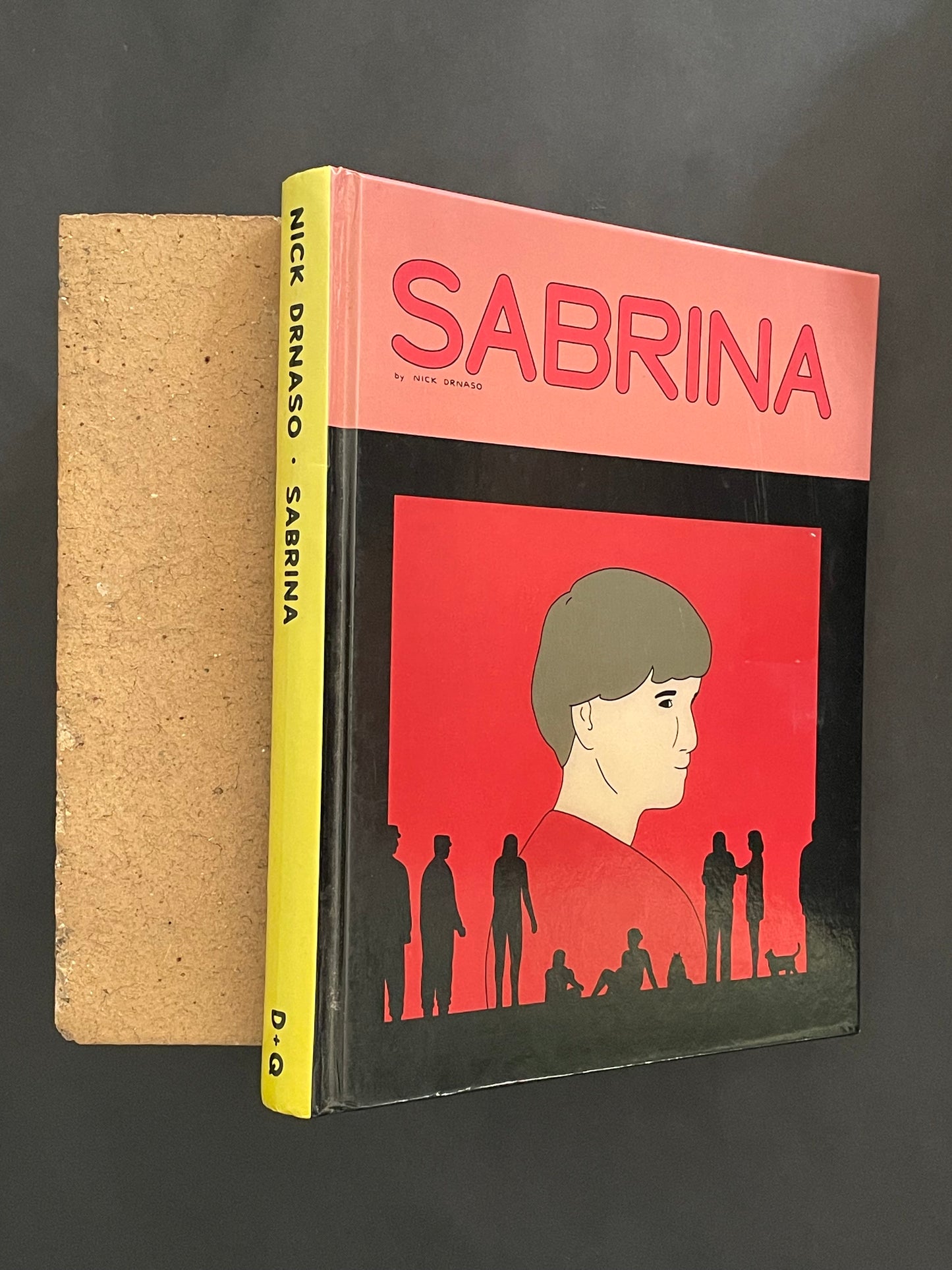 Sabrina by Nick Drnaso