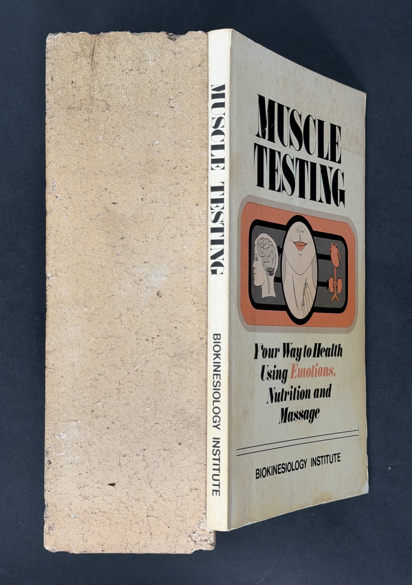 Muscle Testing Your Way to Health Using Emotions, Nutrition and Massage