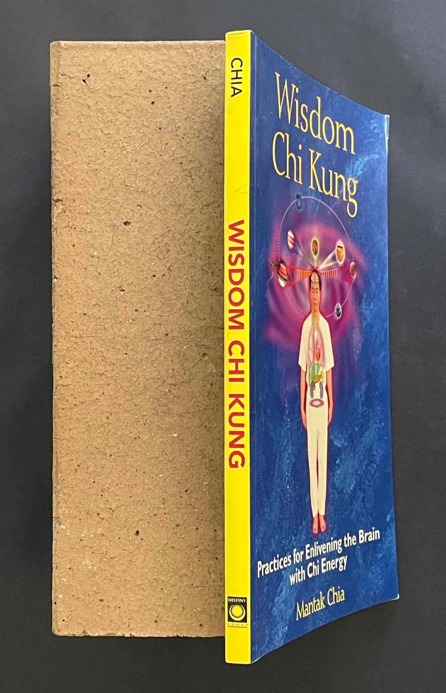 Wisdom Chi Kung by Mantak Chia