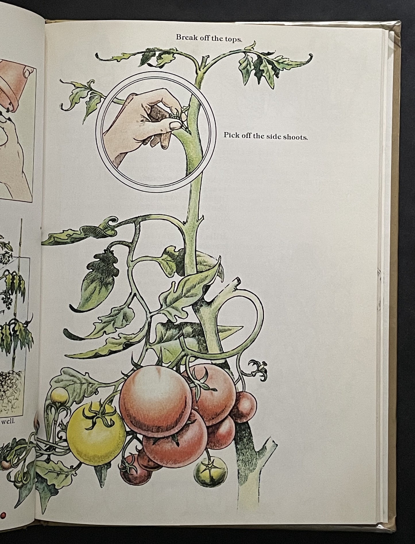 John Seymour's Gardening Book by John Seymour