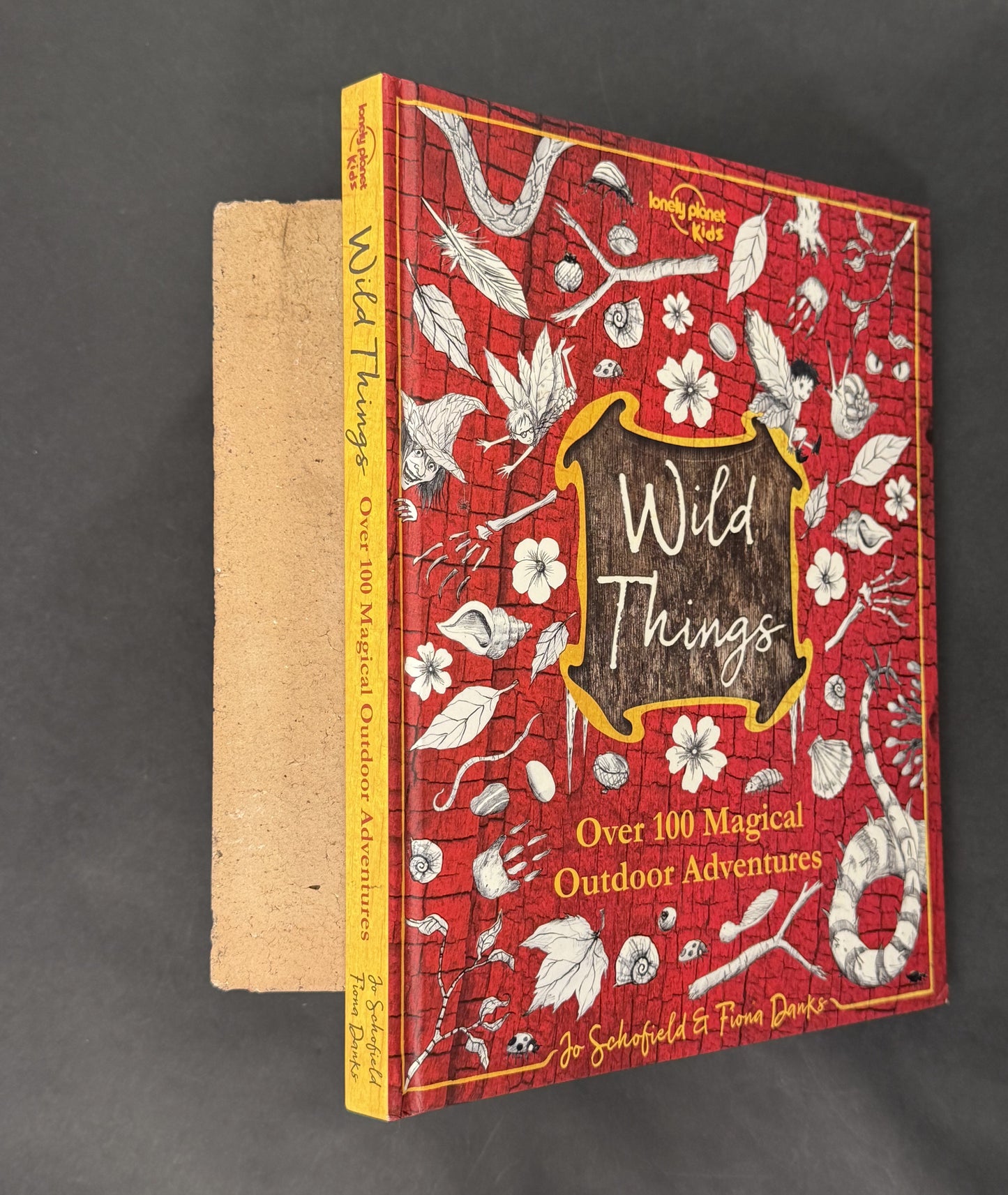 The Wild Things by Lonely Planet Kids, Fiona Danks, Jo Schofield