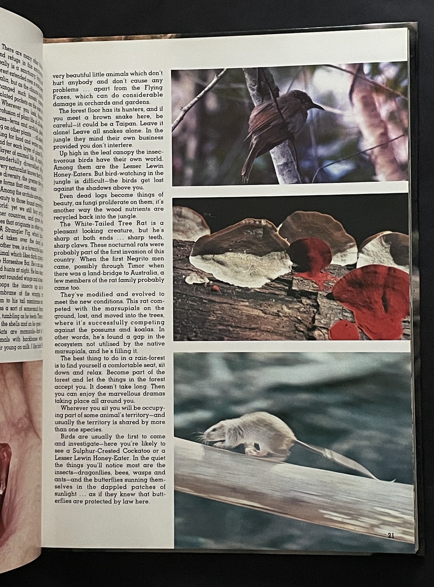 In the Wild with Harry Butler by Harry Butler