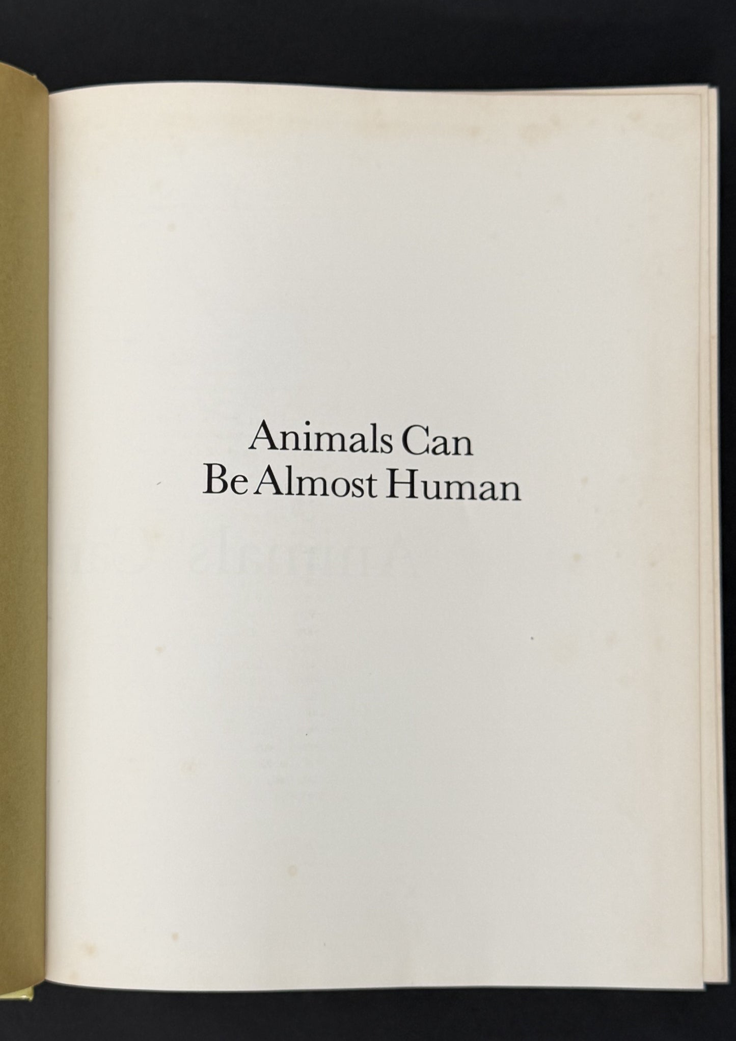 Animals Can be Almost Human by Alma E. Guinness