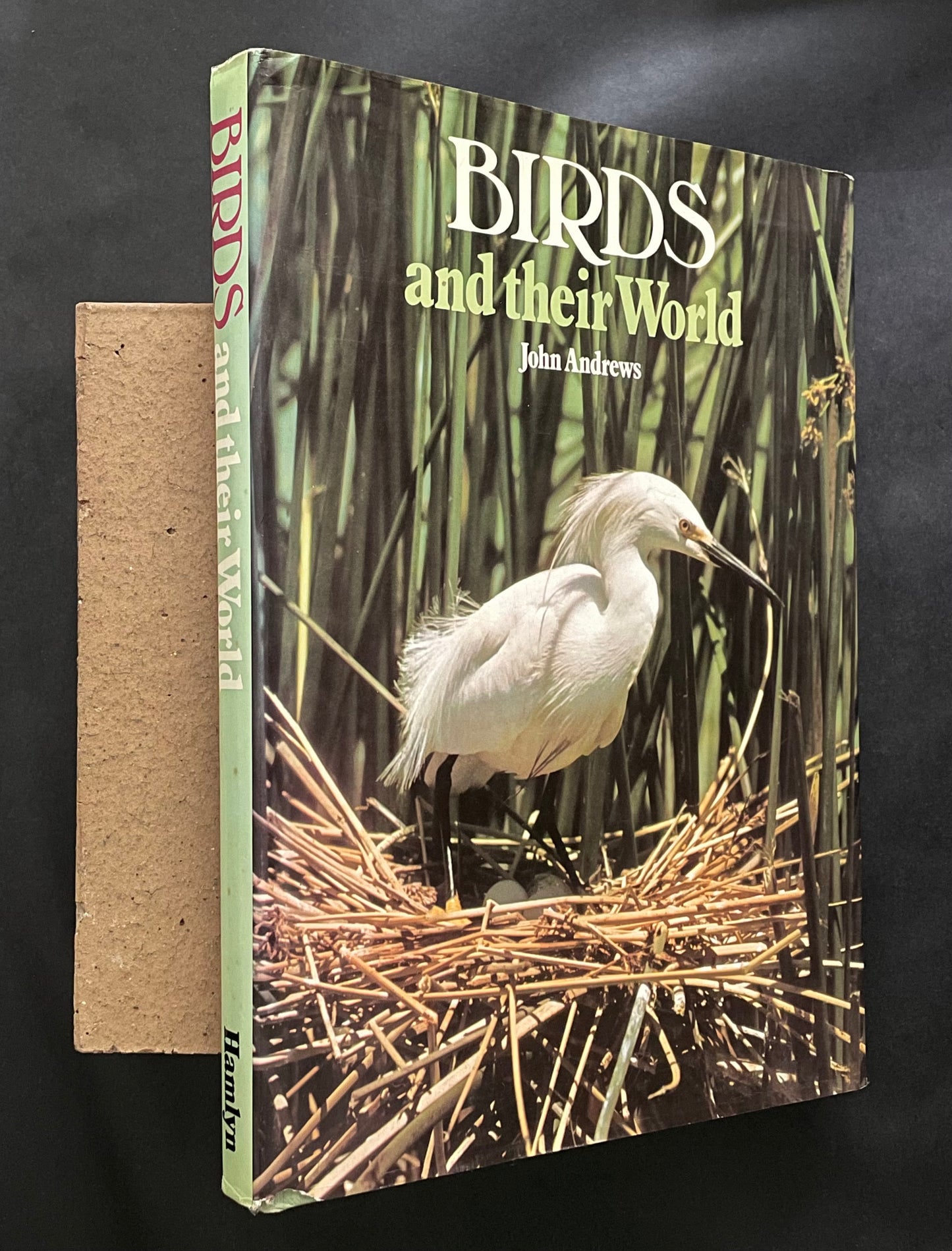 Birds and Their World by John Andrews