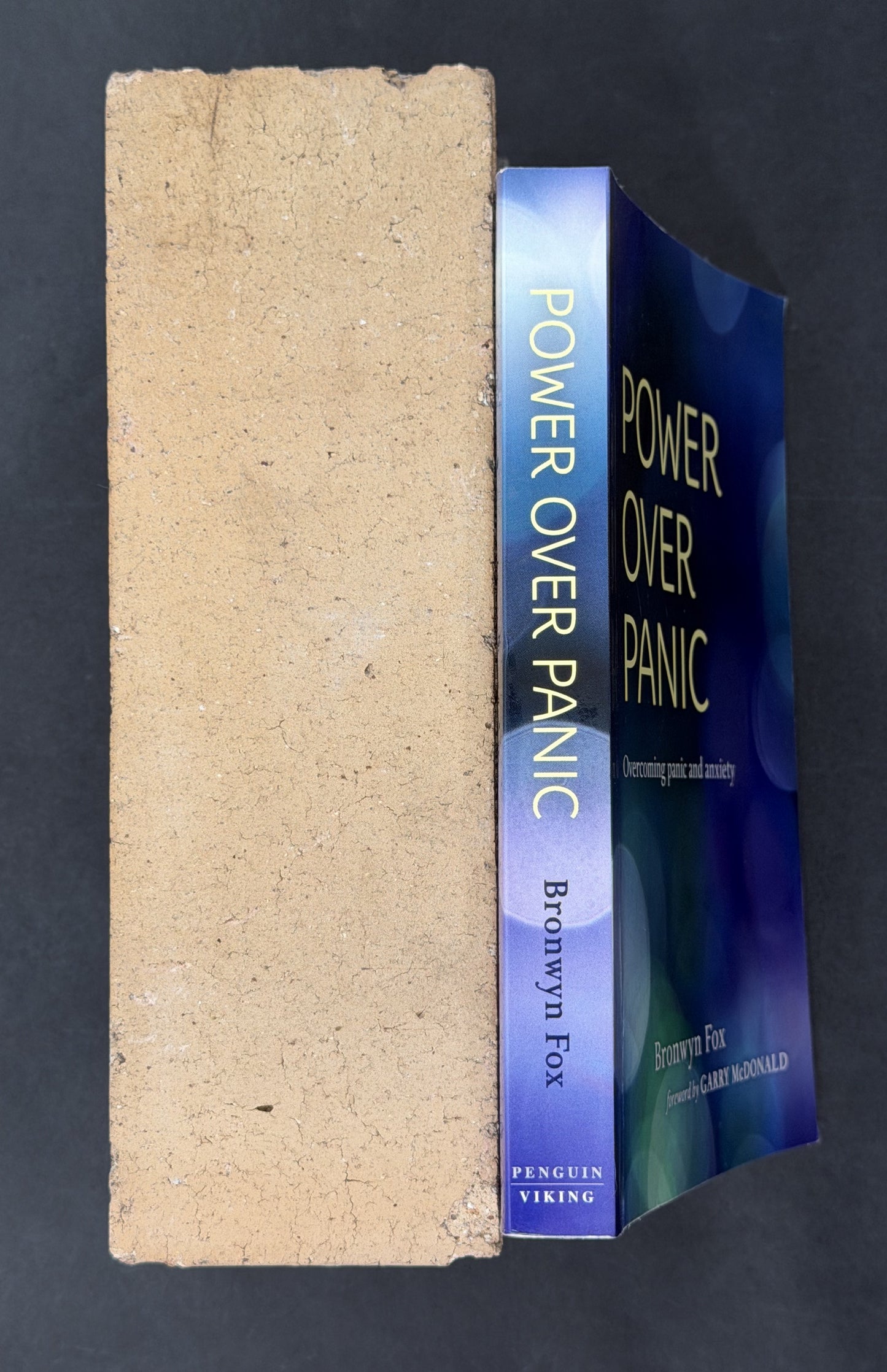 Power Over Panic by Bronwyn Fox