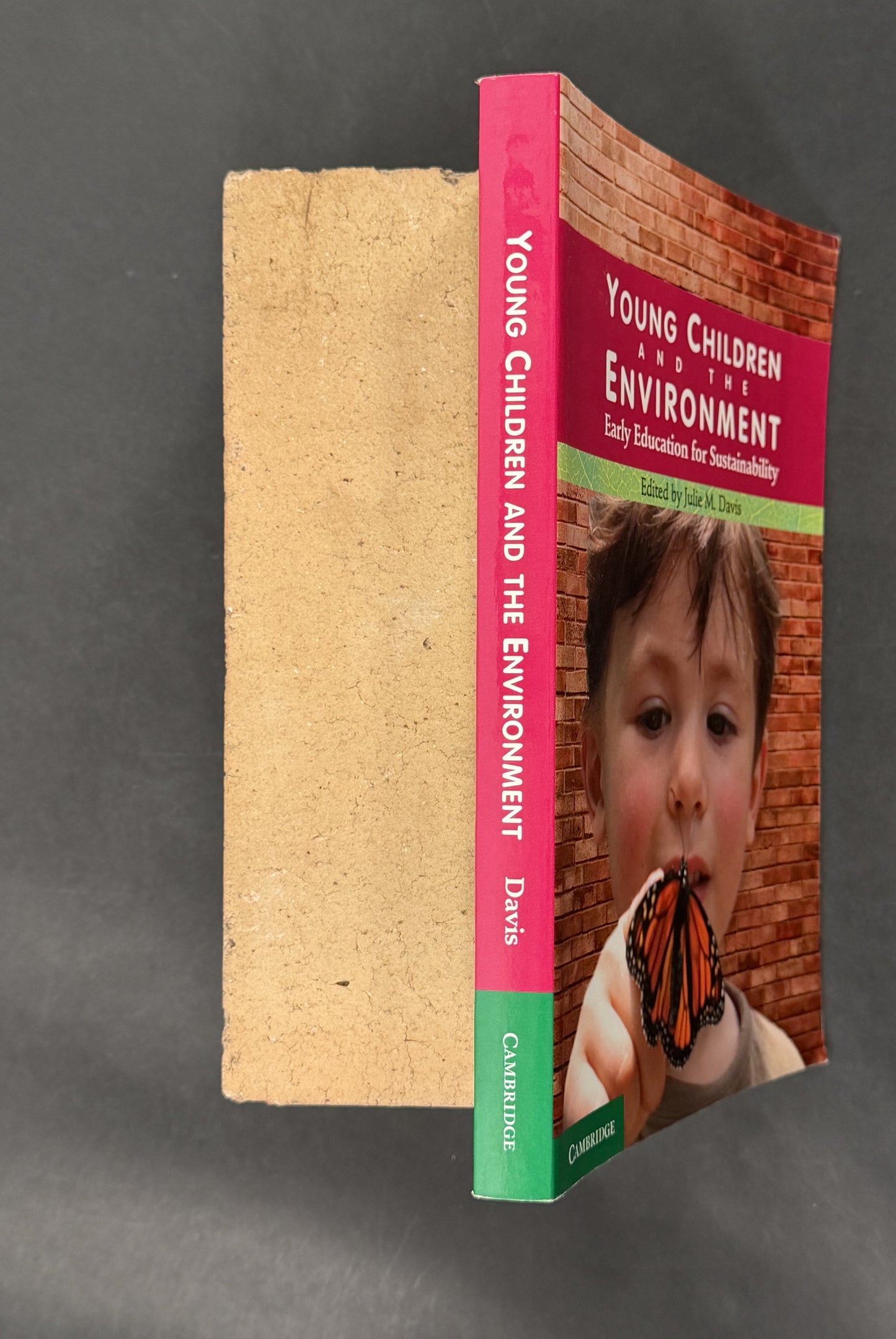 Young Children and the Environment by Julie M. Davis