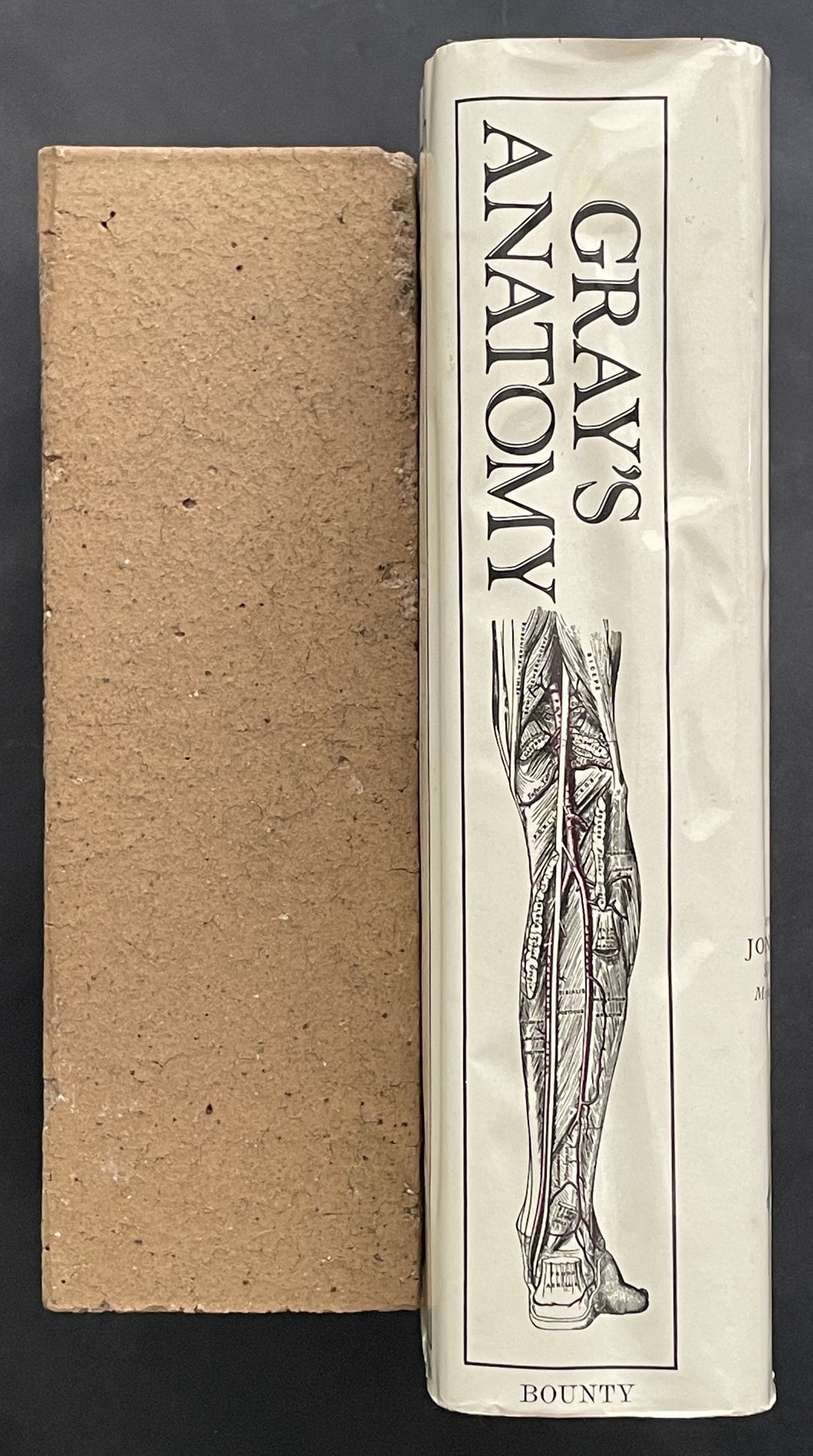 Gray's Anatomy (Anatomy, Descriptive and Surgical) by Henry Gray