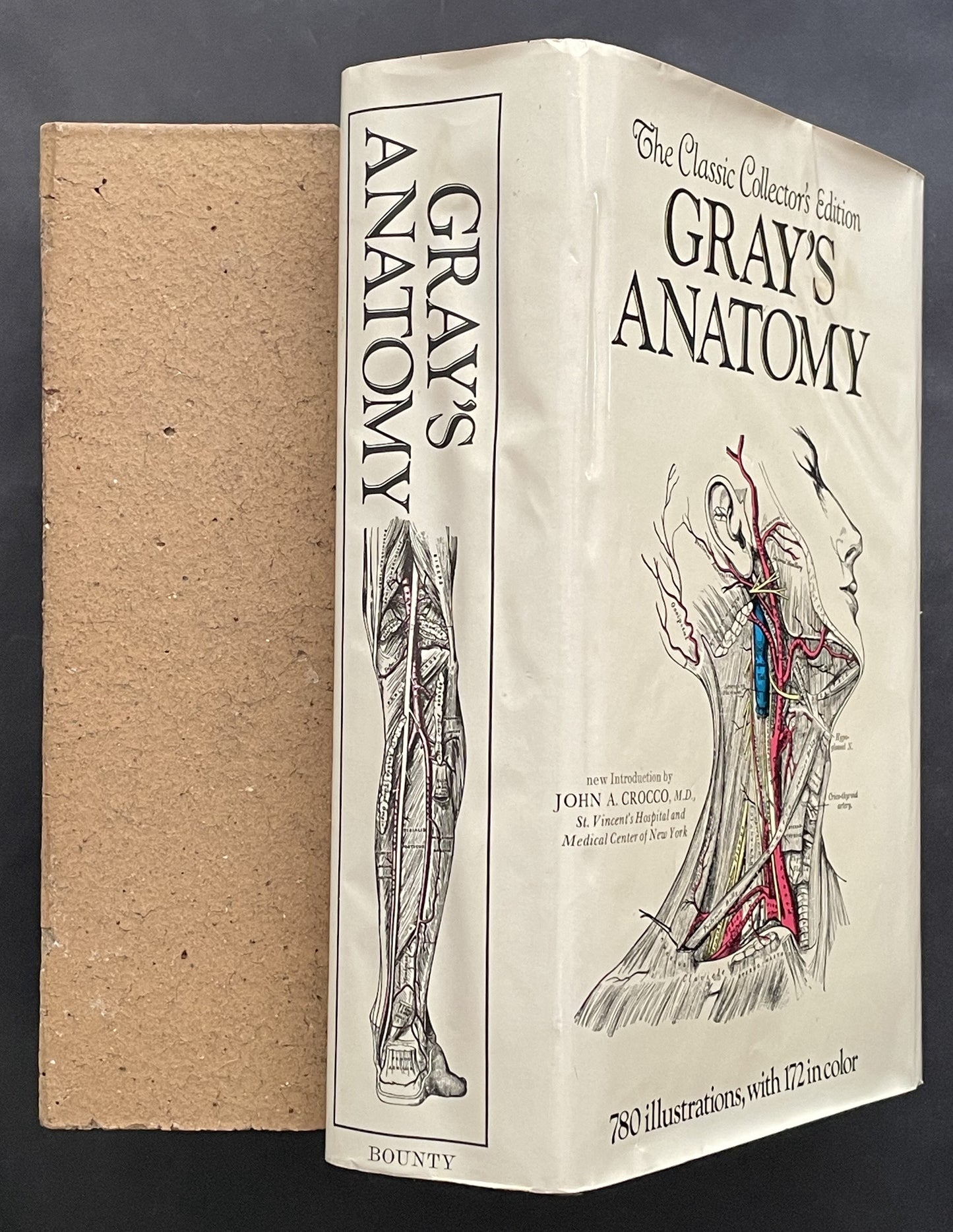 Gray's Anatomy (Anatomy, Descriptive and Surgical) by Henry Gray