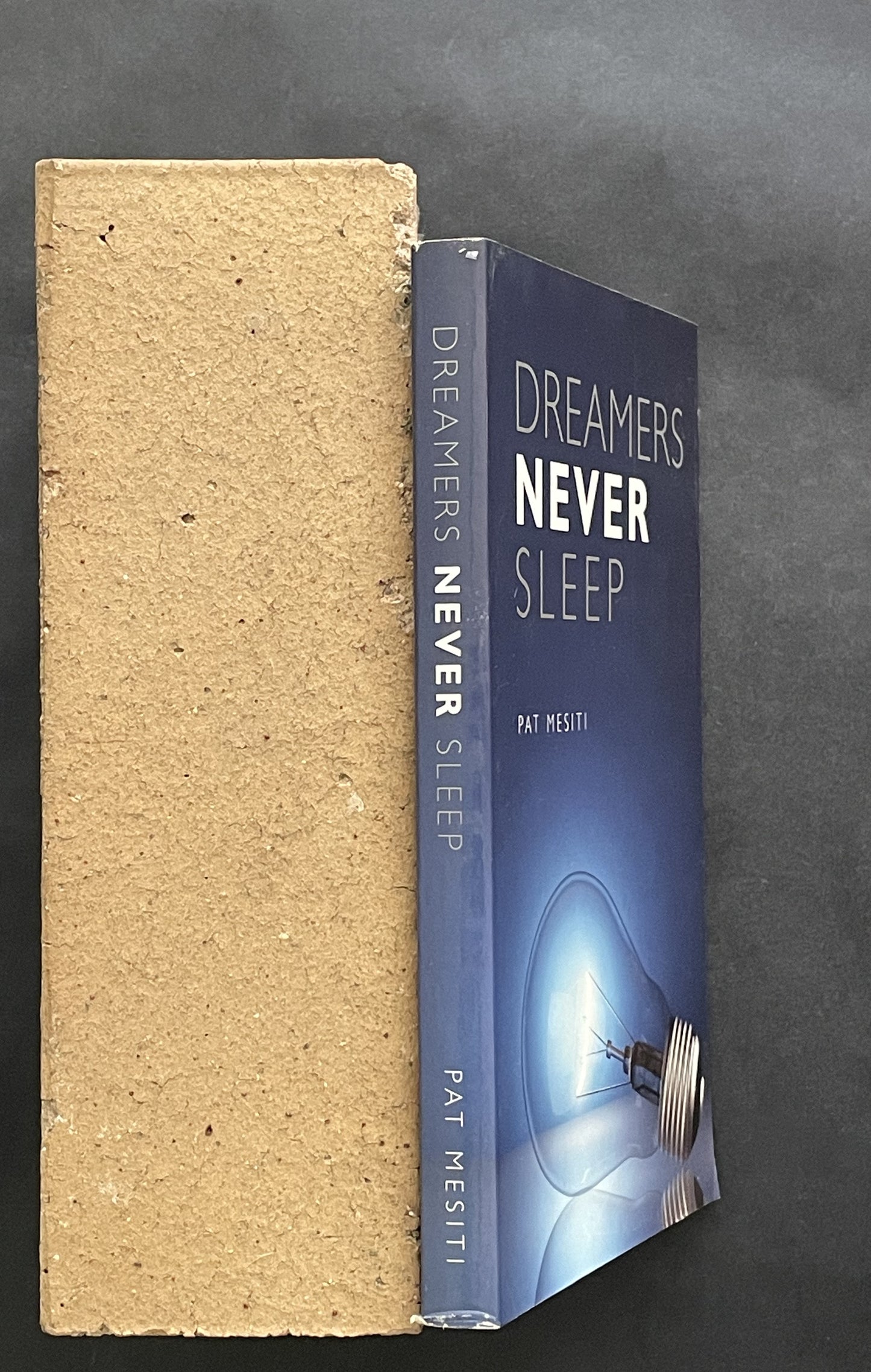 DREAMERS NEVER SLEEP by PAT MESITI