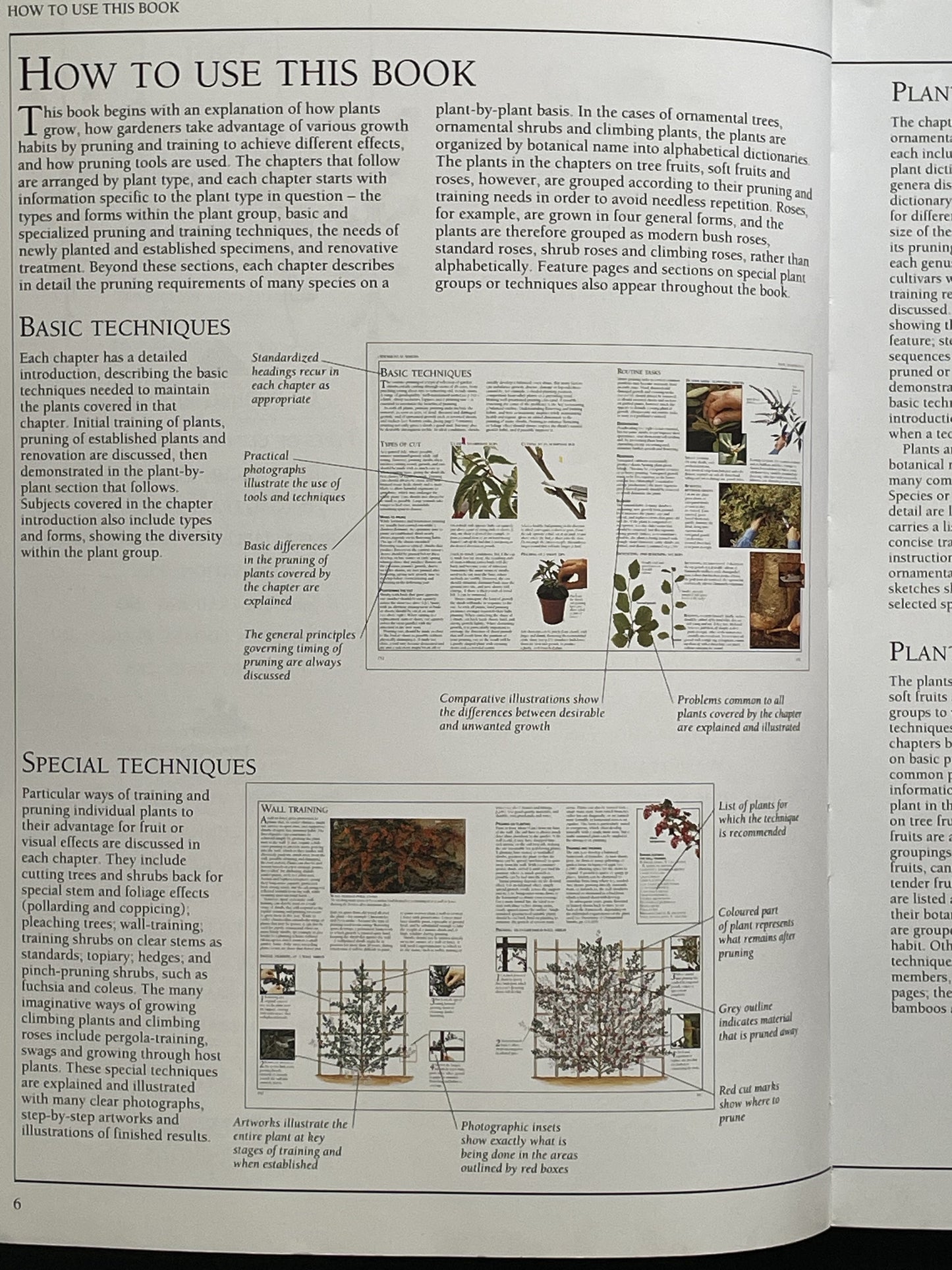 Royal Horticultural Society Pruning & Training by Christopher Brickell & David Joyce