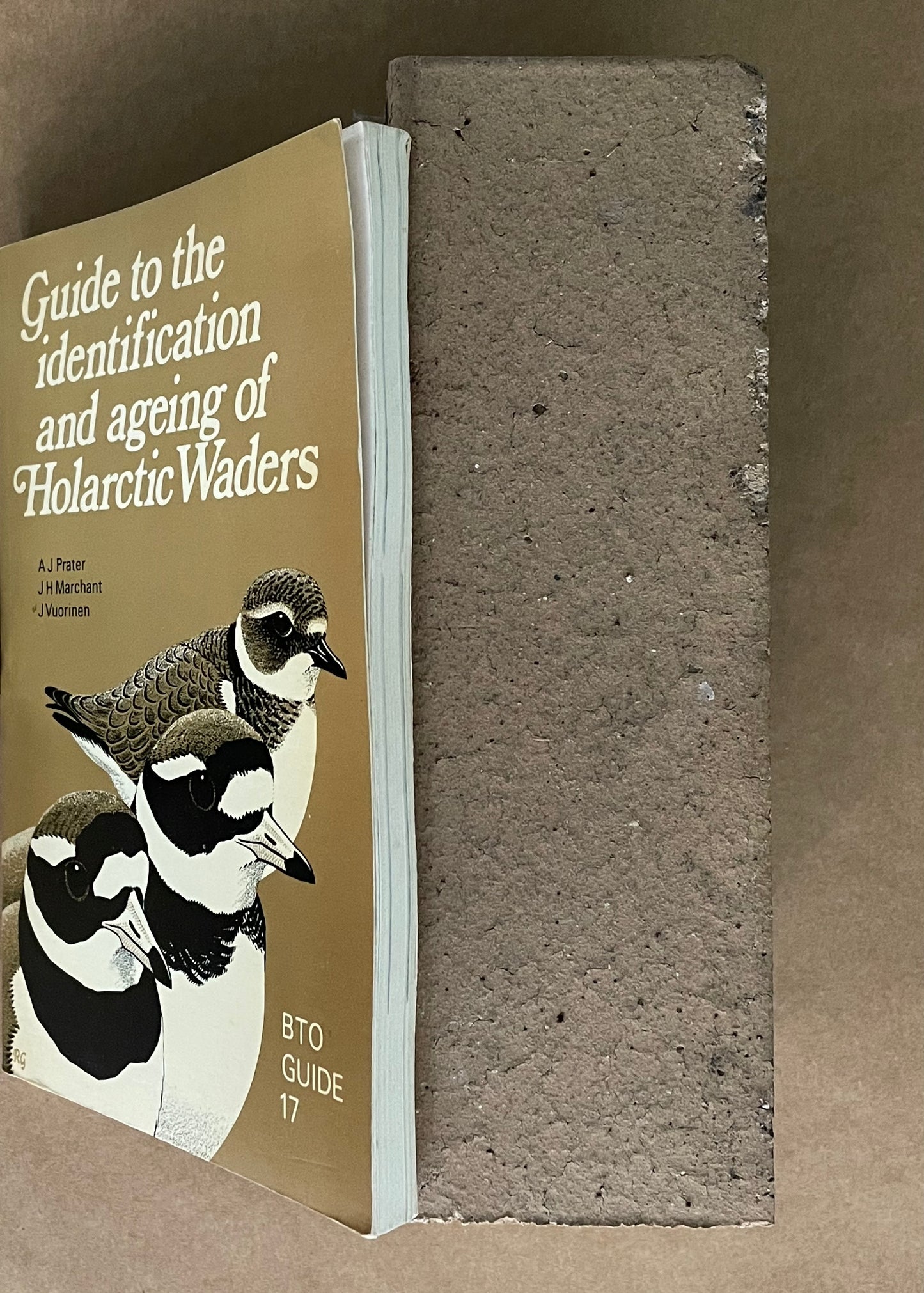 Guide to the identification and ageing of Holarctic Waders by AJ Prater, JH Marchant & J Vuorinen