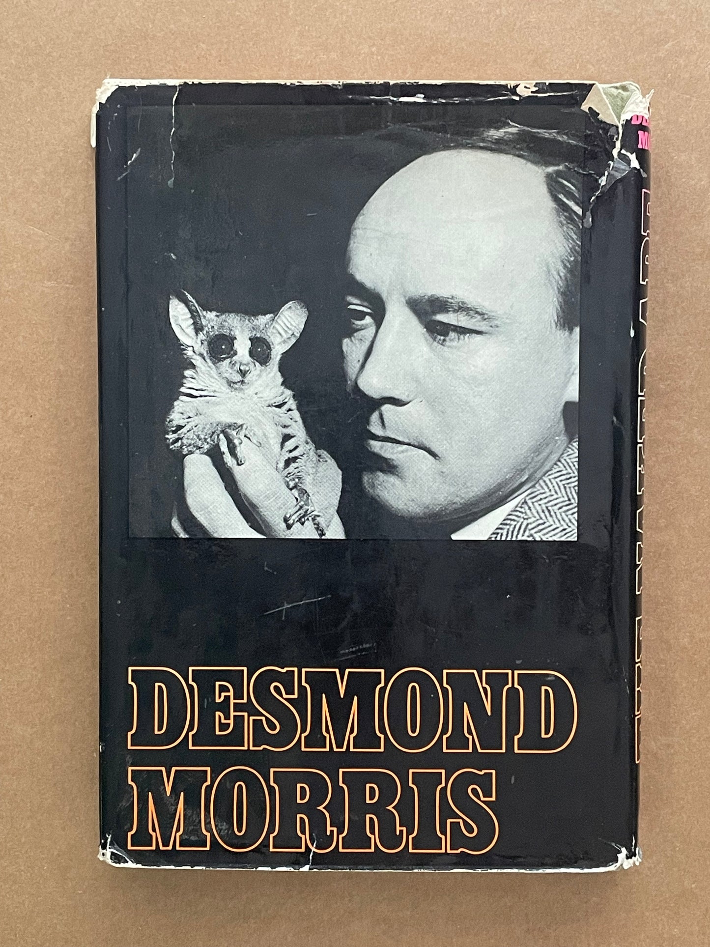 The Naked Ape by Desmond Morris