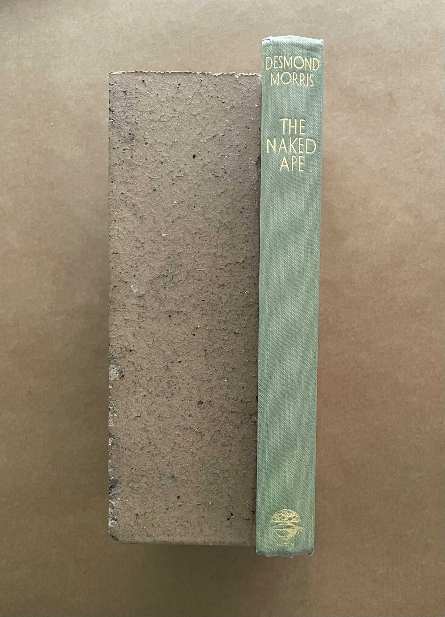 The Naked Ape by Desmond Morris