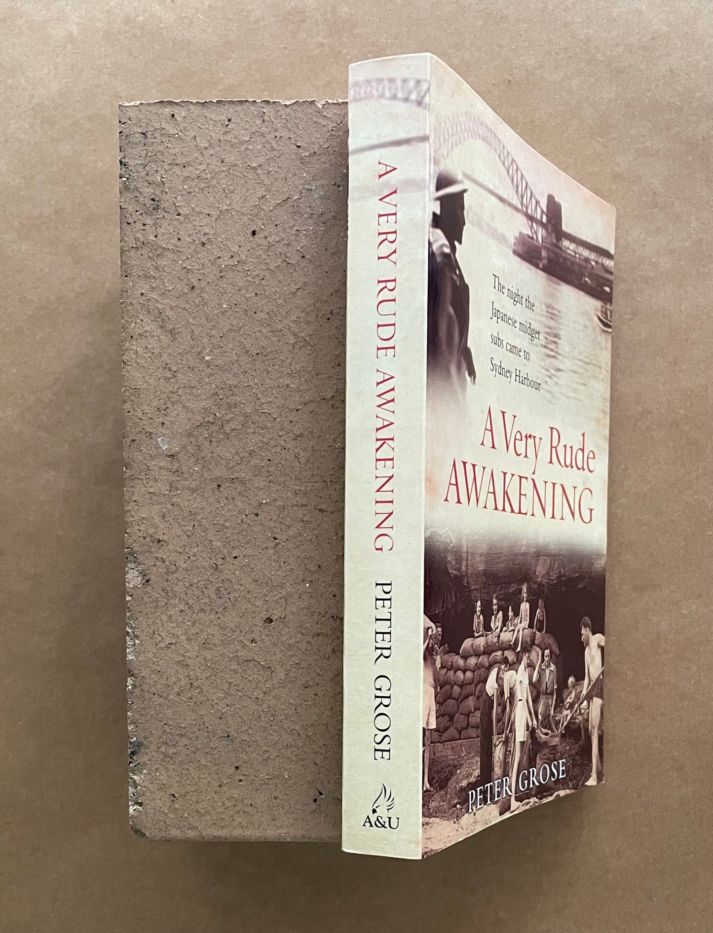 A Very Rude Awakening by Peter Grose
