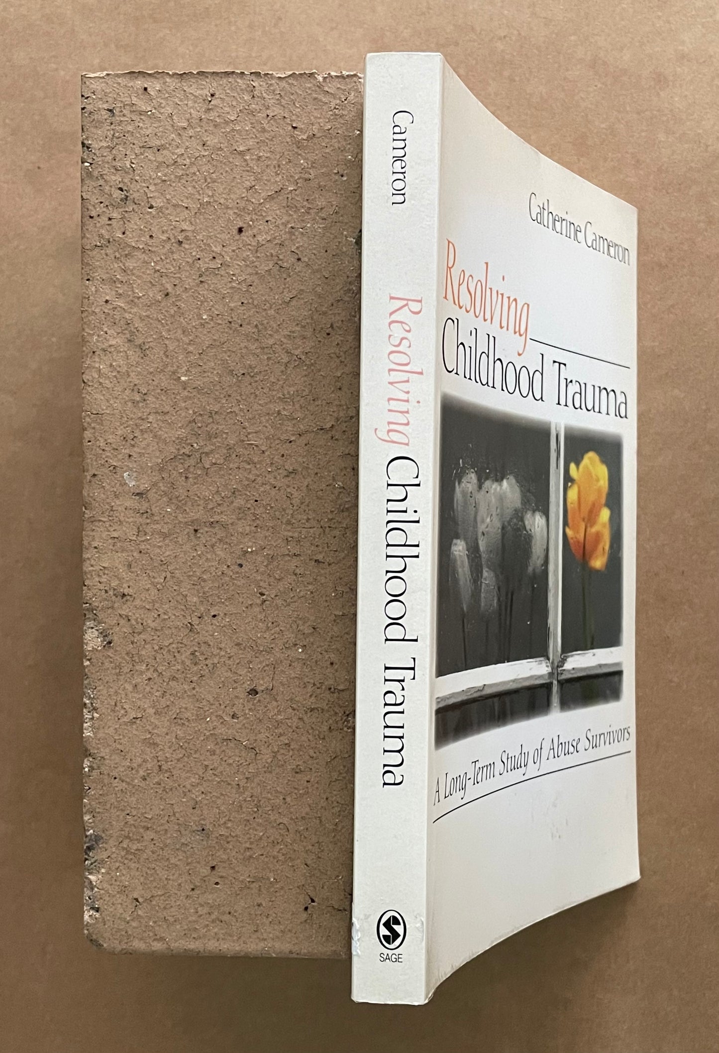 Resolving Childhood Trauma by Catherine Cameron