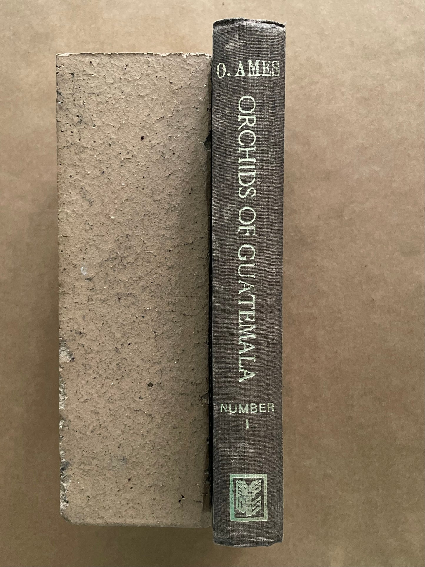 ORCHIDS OF GUATEMALA by OAKES AMES & D. S. CORRELL