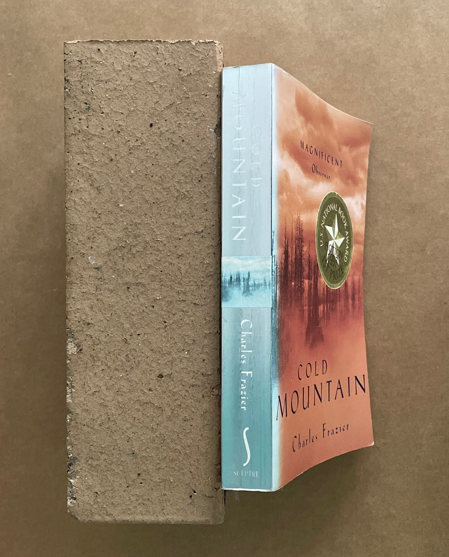 Cold Mountain by Charles Frazier