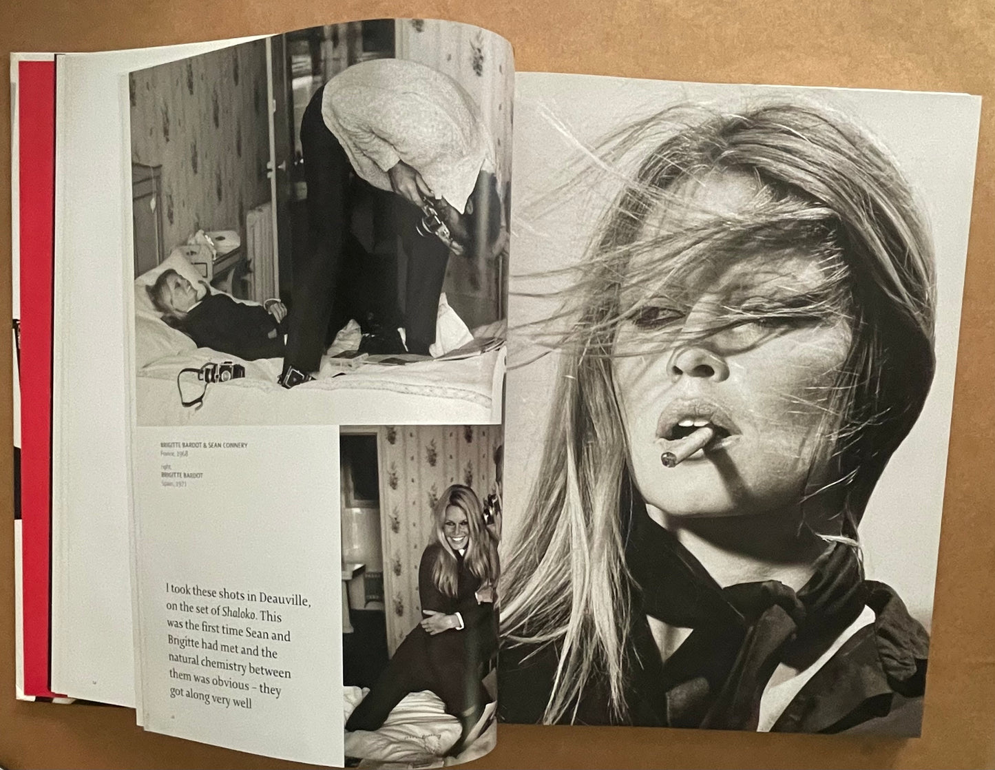 Celebrity by Terry O'Neill, AA Gill